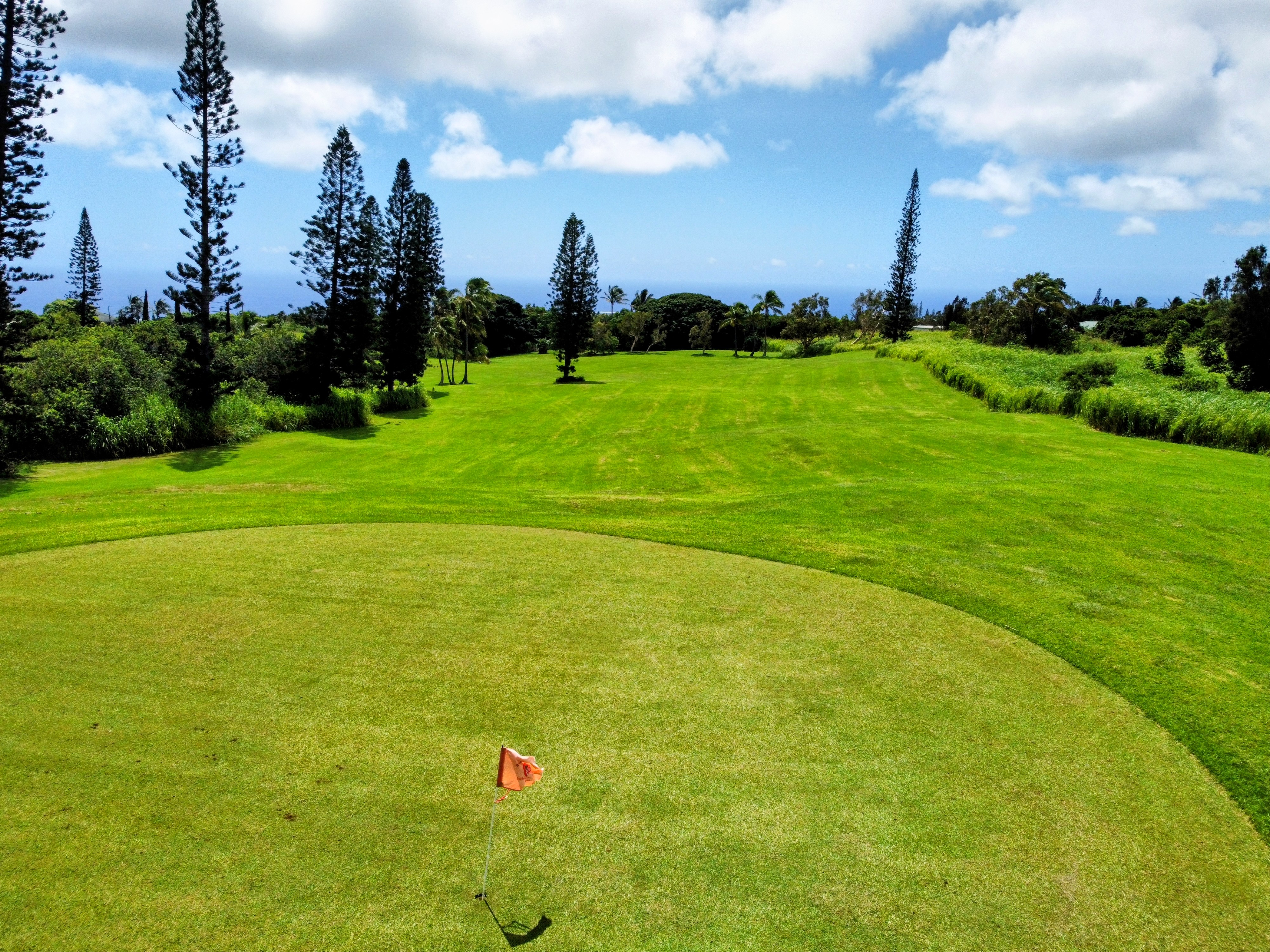 Lewa Lani Pl Property Photo 14