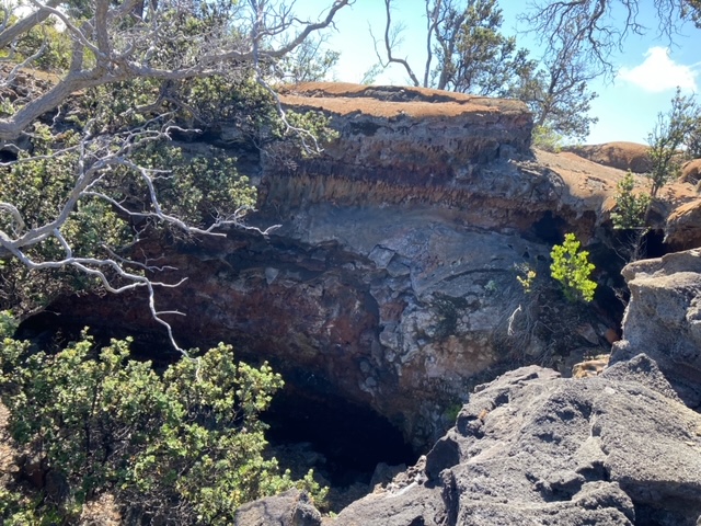 Marlin Blvd Property Photo 2