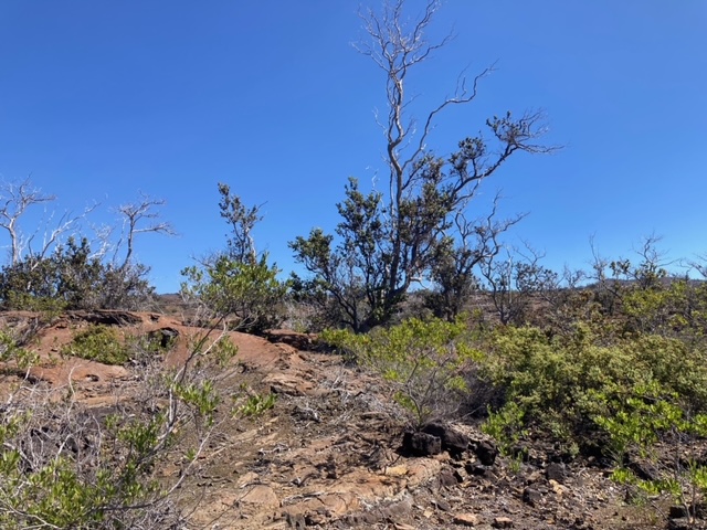 Marlin Blvd Property Photo 3