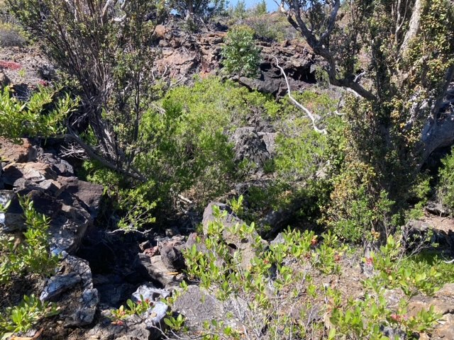 Marlin Blvd Property Photo 4