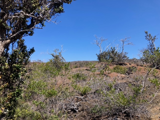 Marlin Blvd Property Photo 6