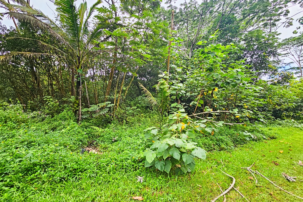 Seaview Rd Property Photo 5