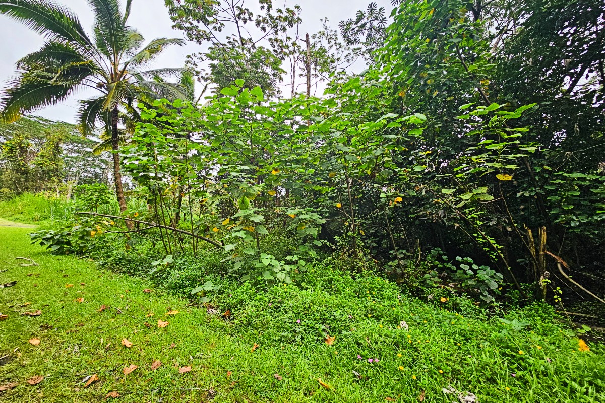 Seaview Rd Property Photo 7