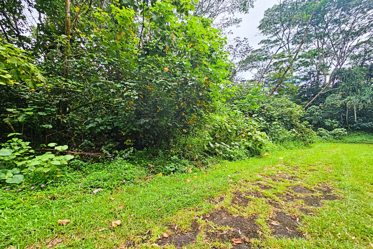 Seaview Rd Property Photo 8