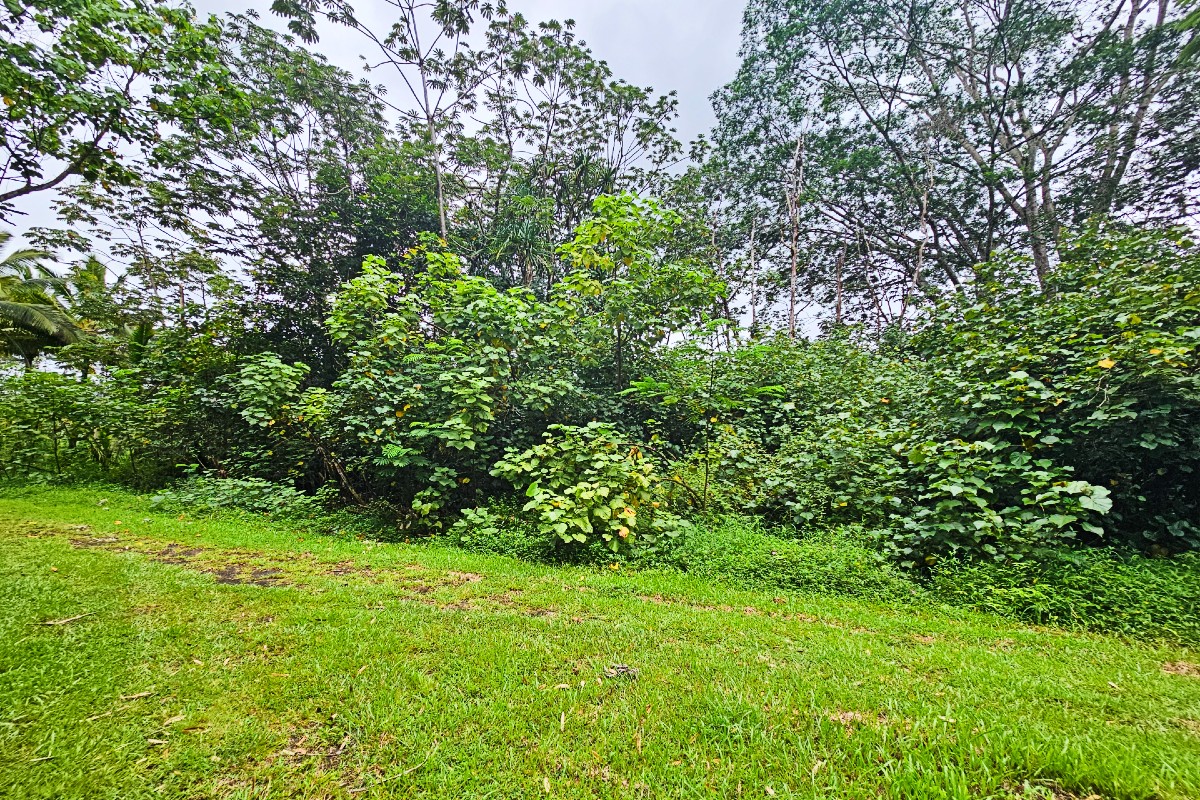 Seaview Rd Property Photo 9