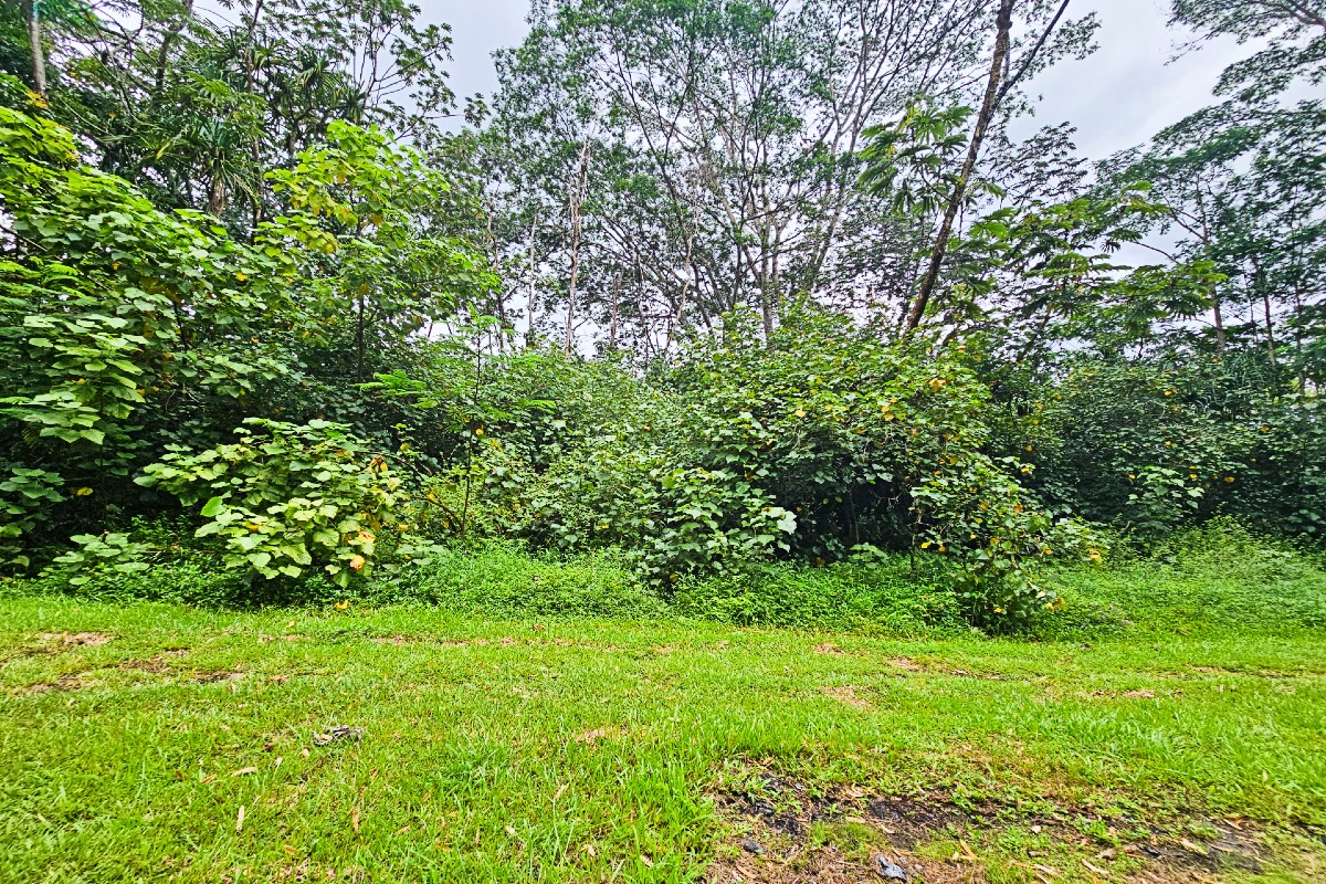Seaview Rd Property Photo 10