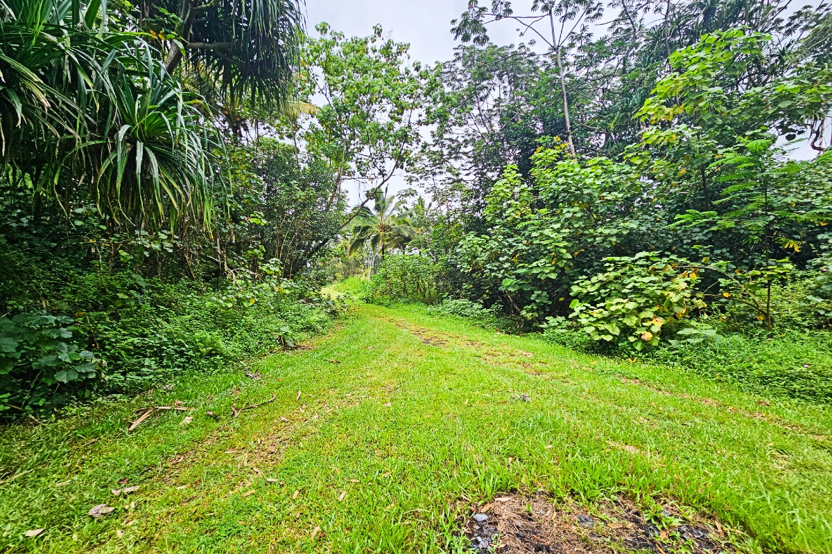 Seaview Rd Property Photo 11