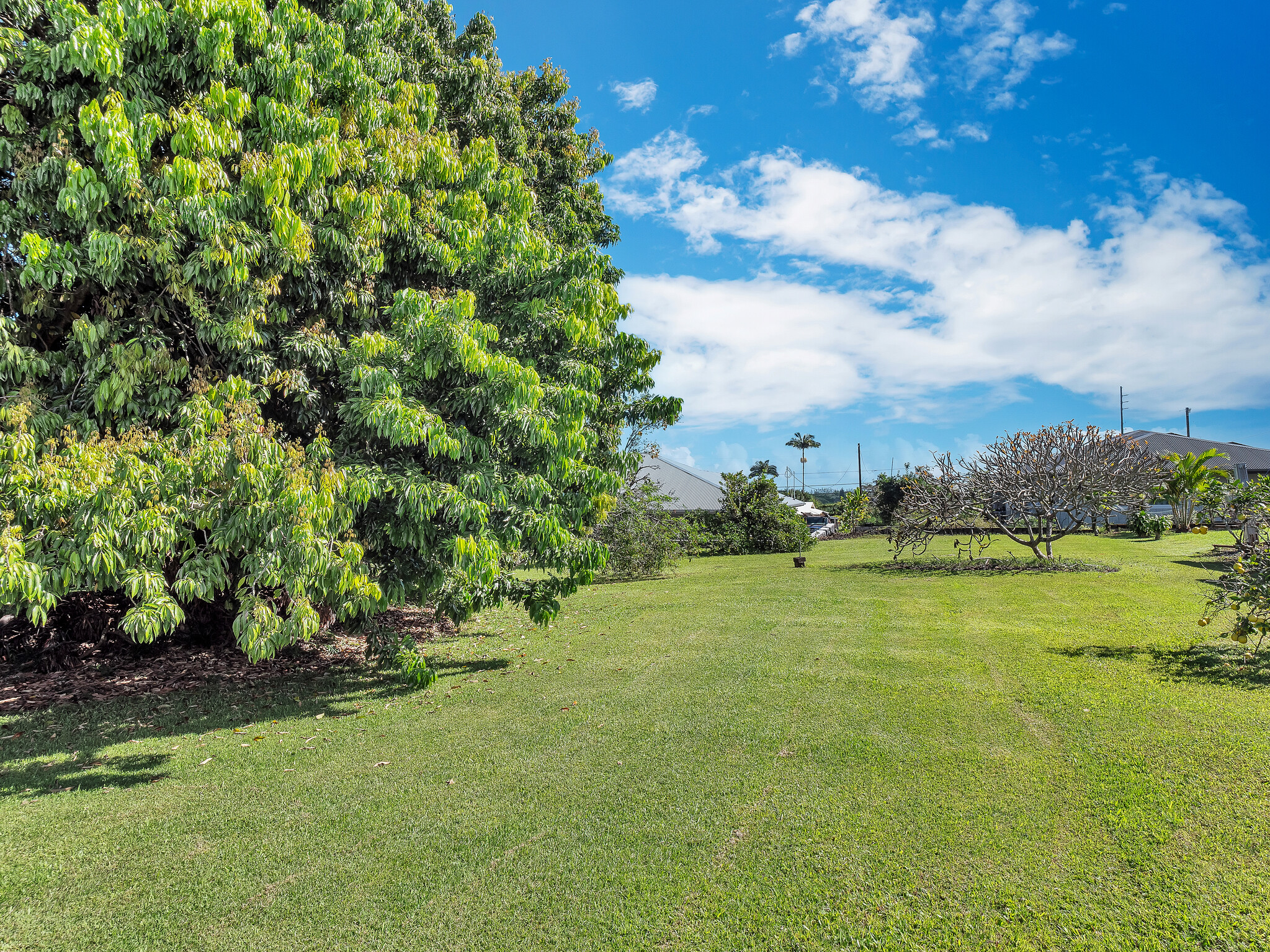 347 Nohea St Property Photo 18