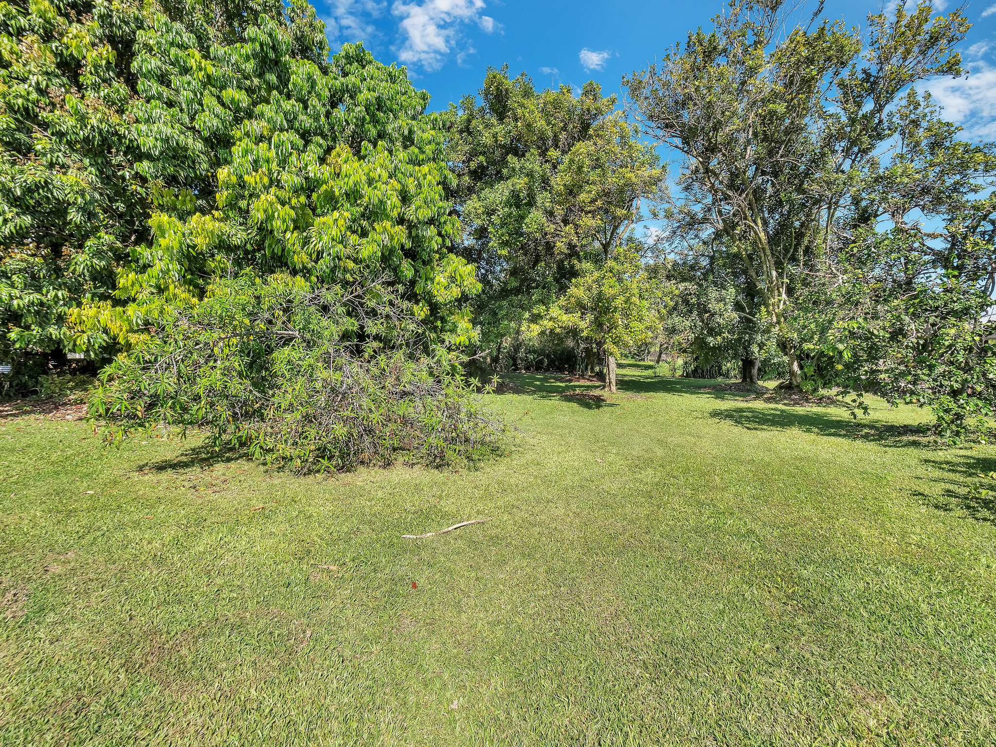 347 Nohea St Property Photo 19