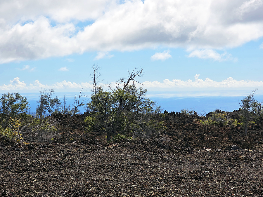 Reef Parkway/walaka Dr Property Photo 15