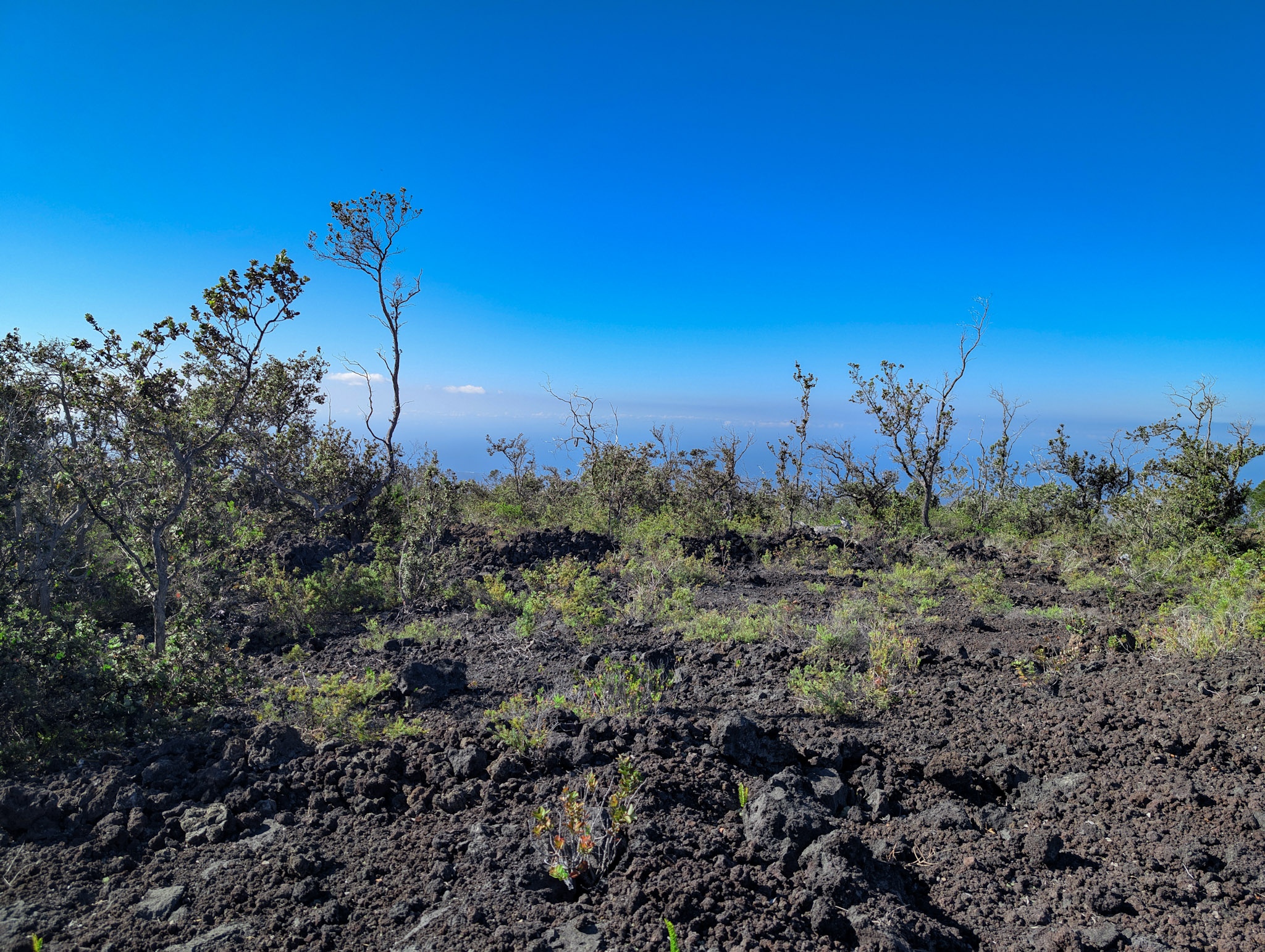 Reef Cir Makai Property Photo 2