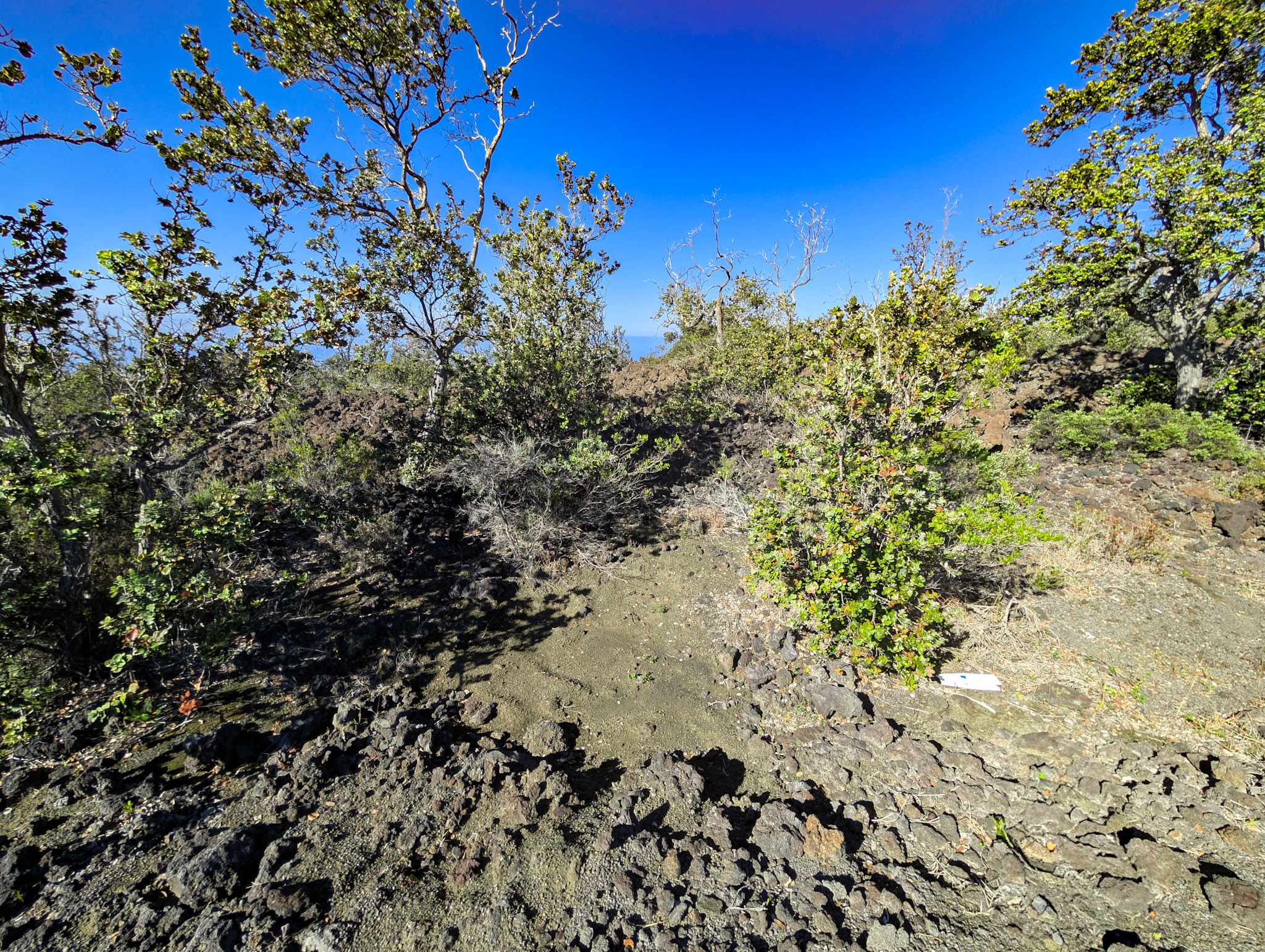 Reef Cir Makai Property Photo 6