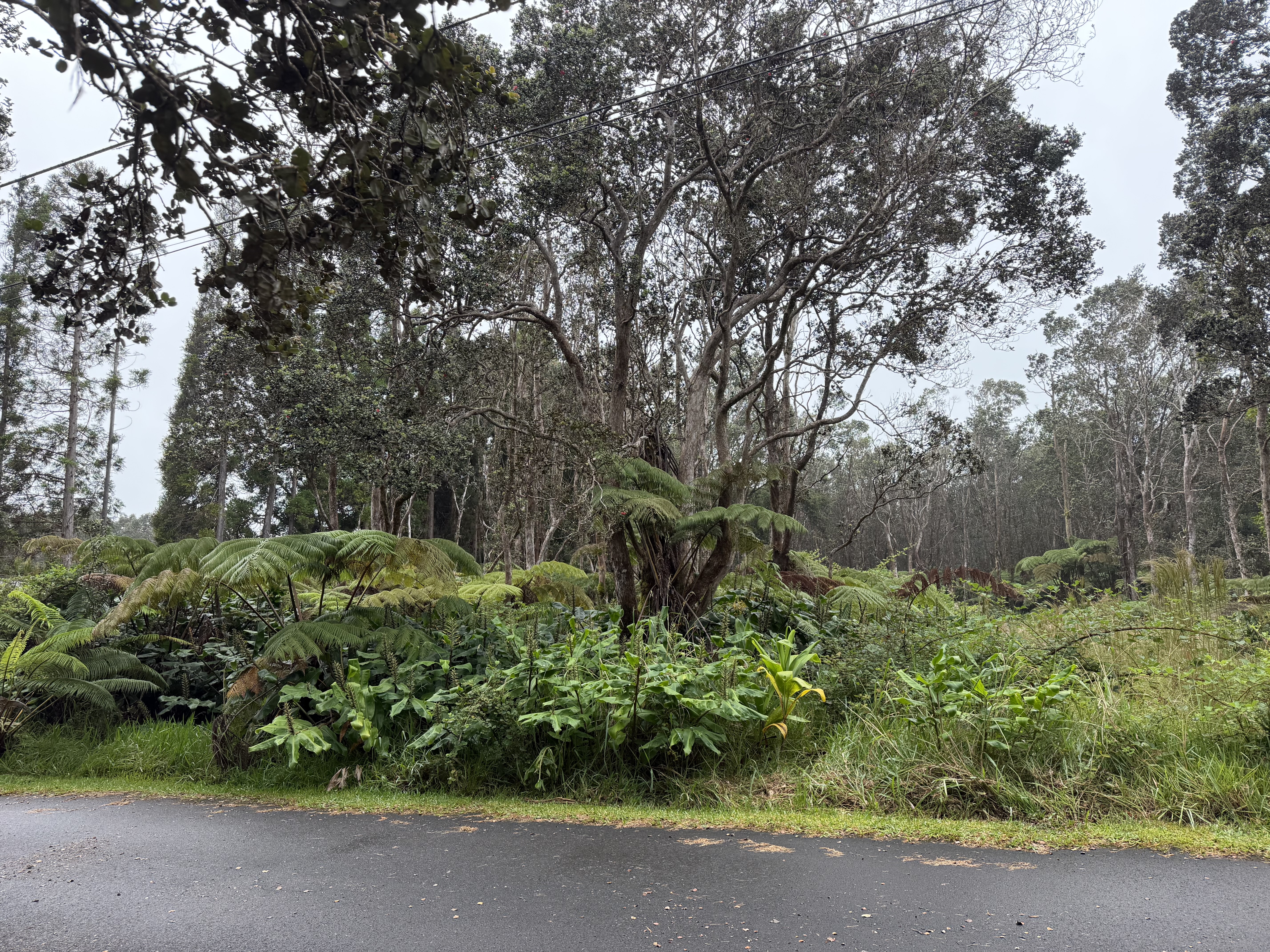 11-3885 2nd St Property Photo 4