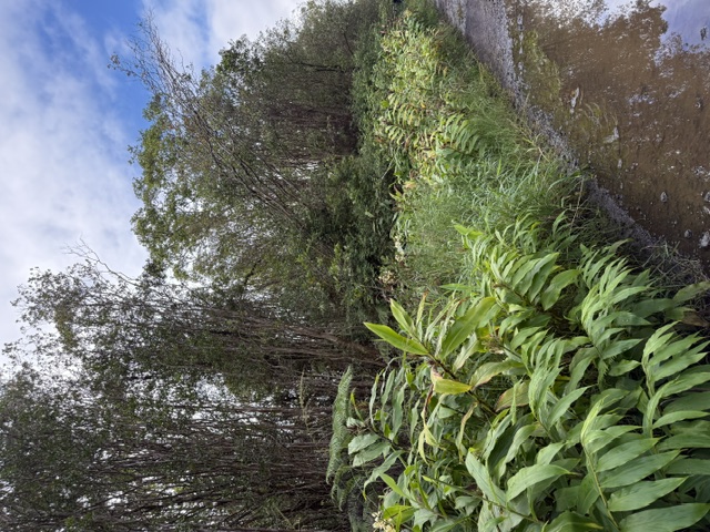 Road 4 Property Photo 1