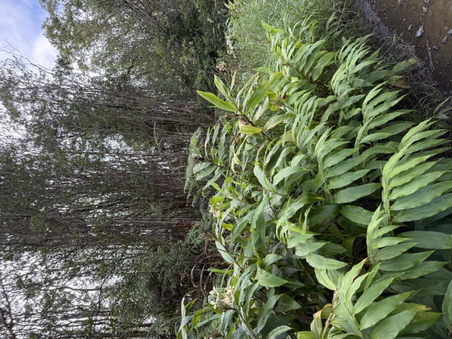Road 4 Property Photo 2