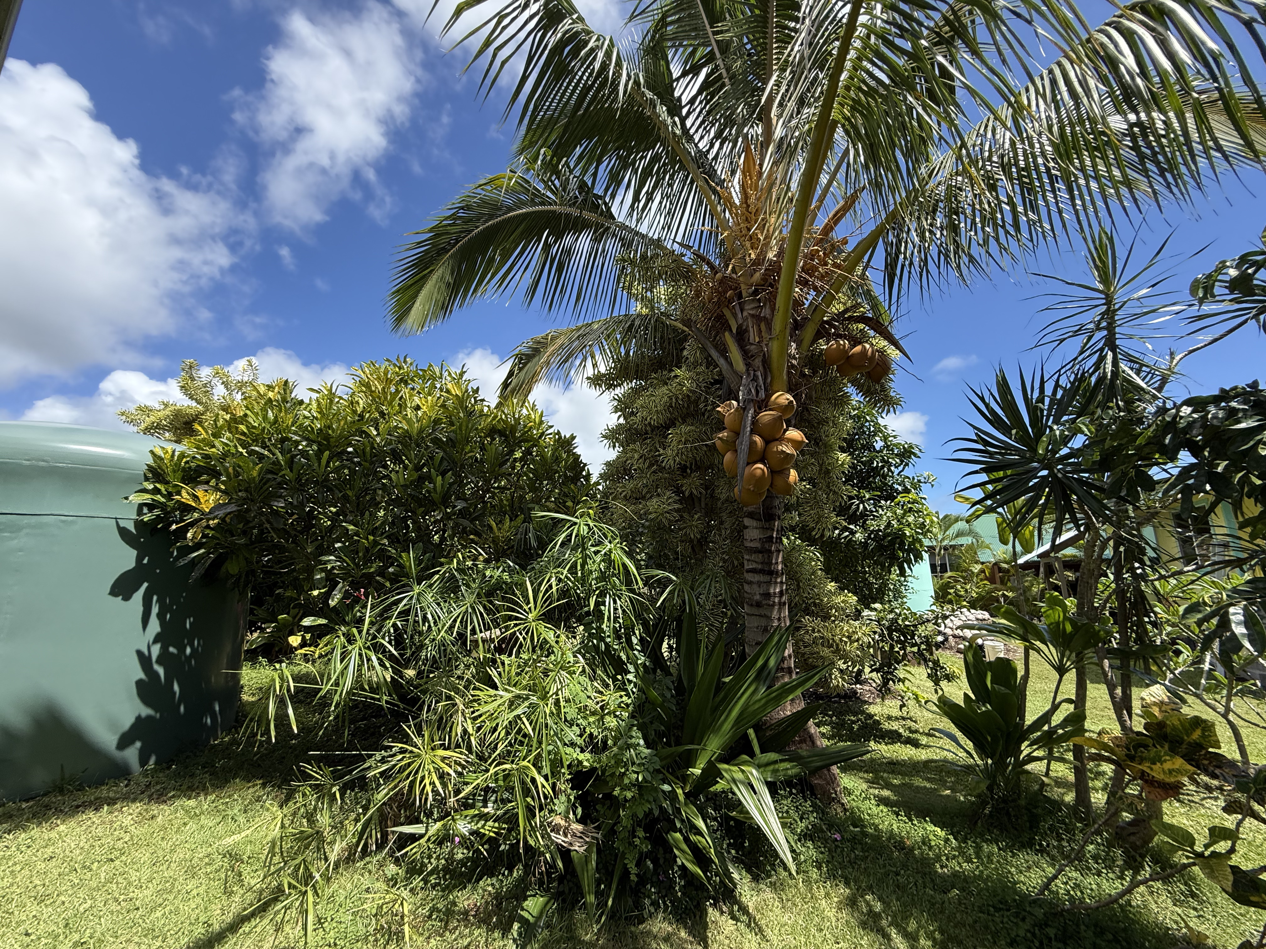 29 W Pohakupele Lp Property Photo 19
