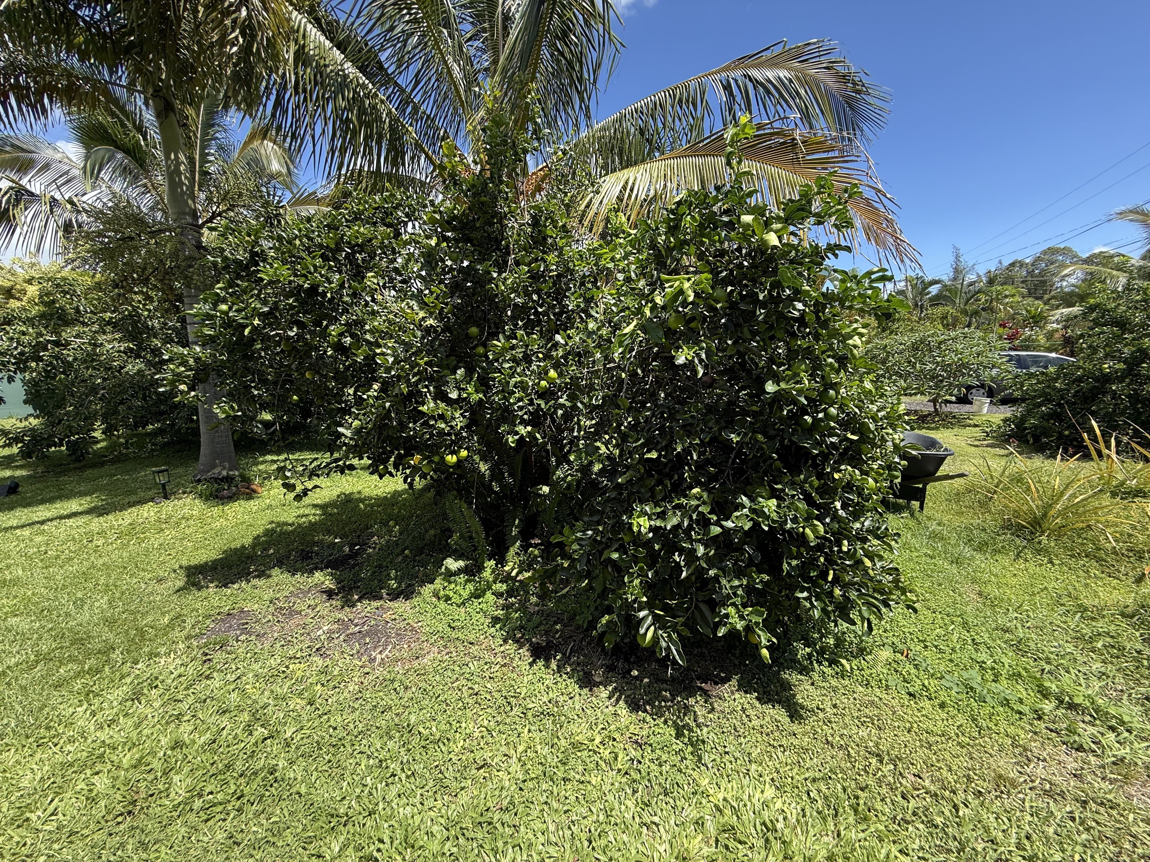 29 W Pohakupele Lp Property Photo 21