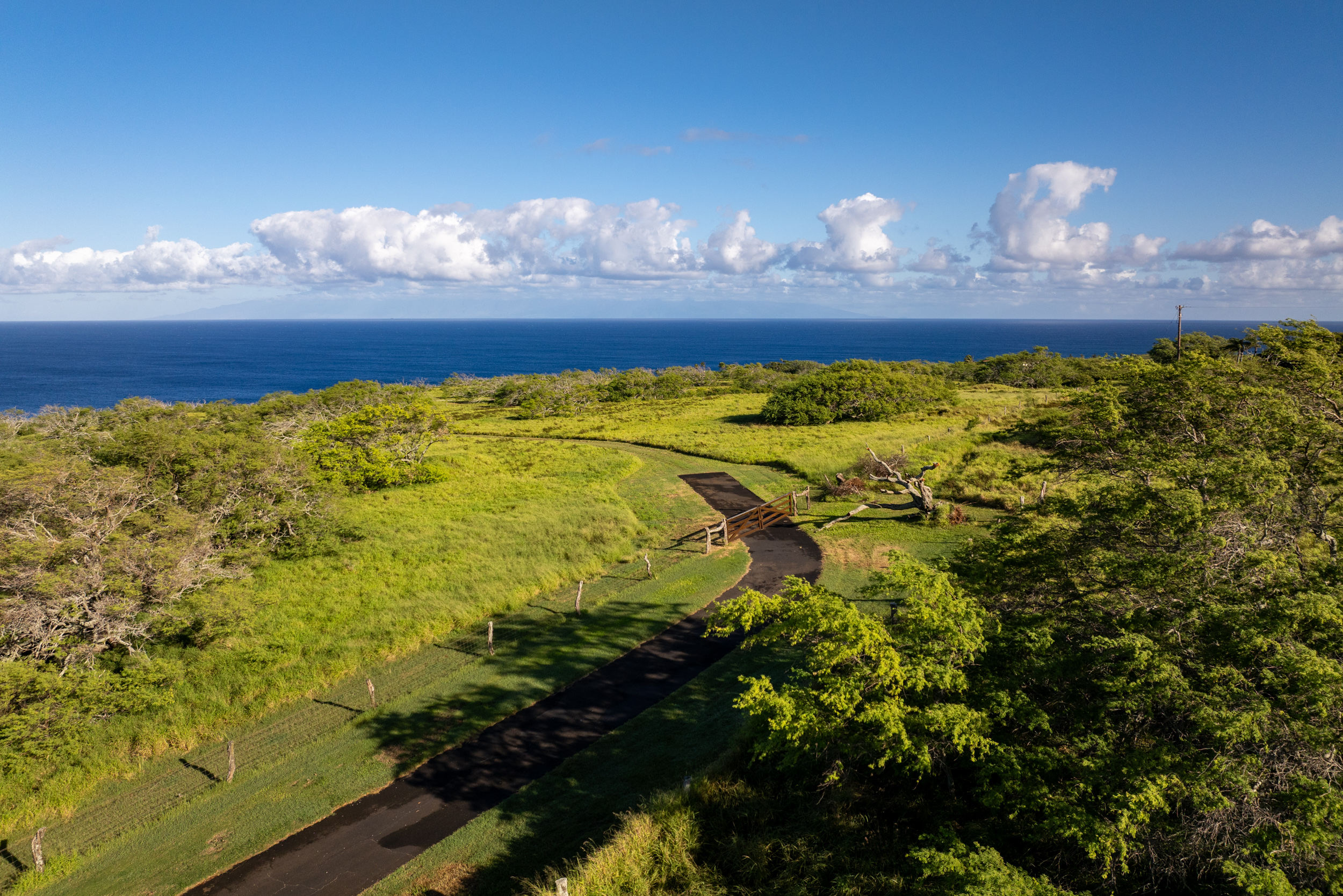 56-99 Pualani Rd Property Photo 4