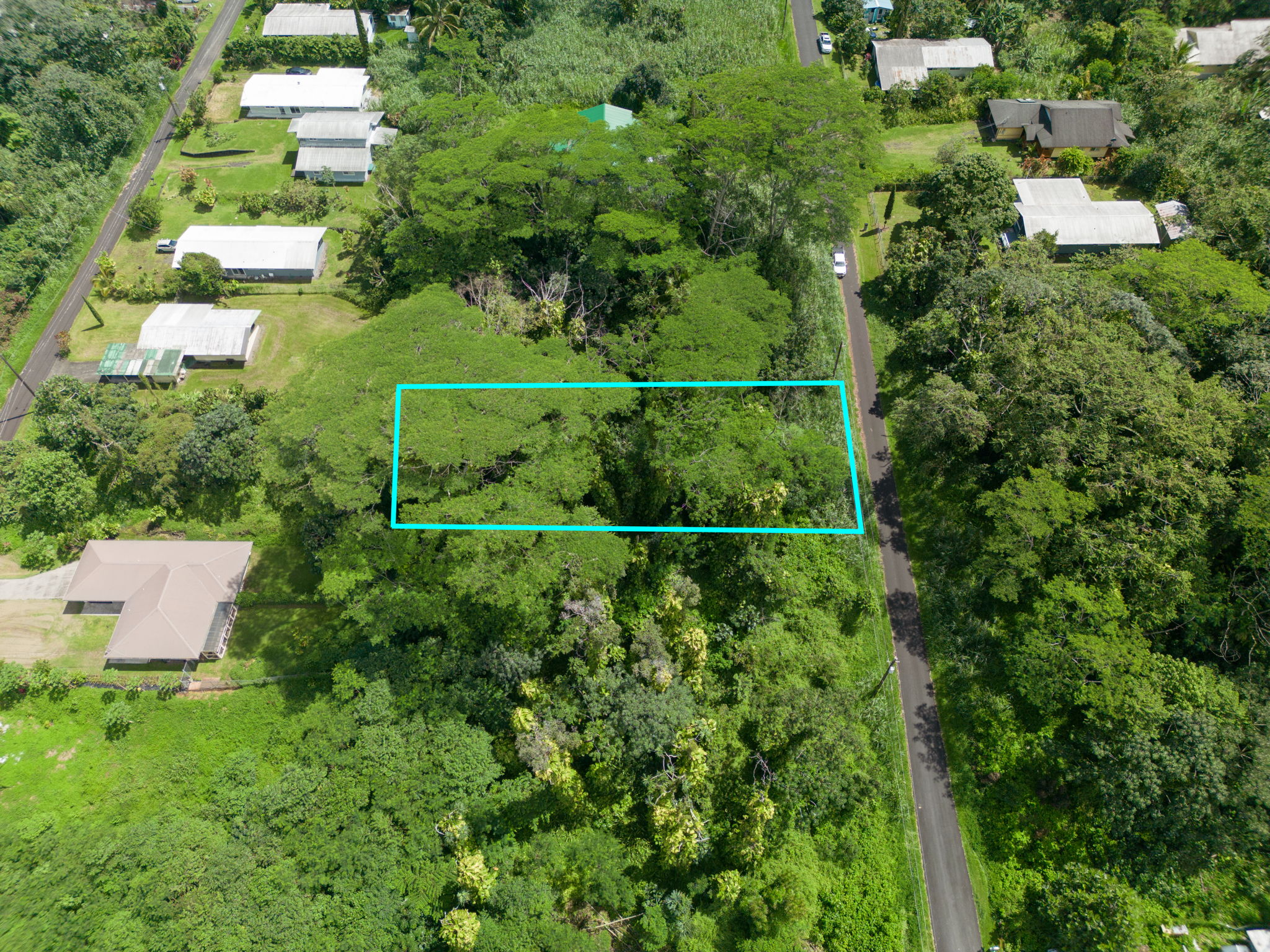 Moi St Property Photo 1