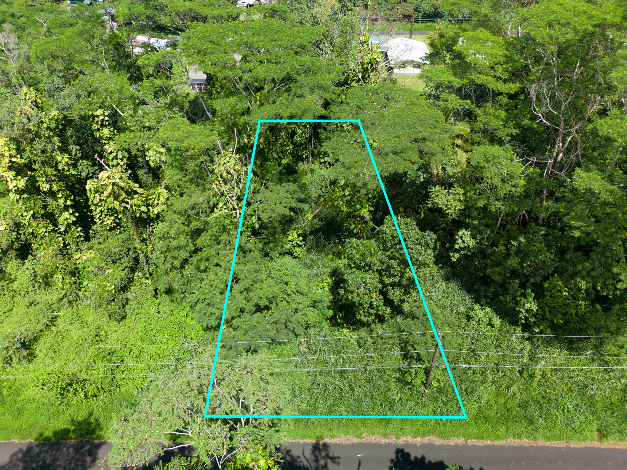 Moi St Property Photo 3