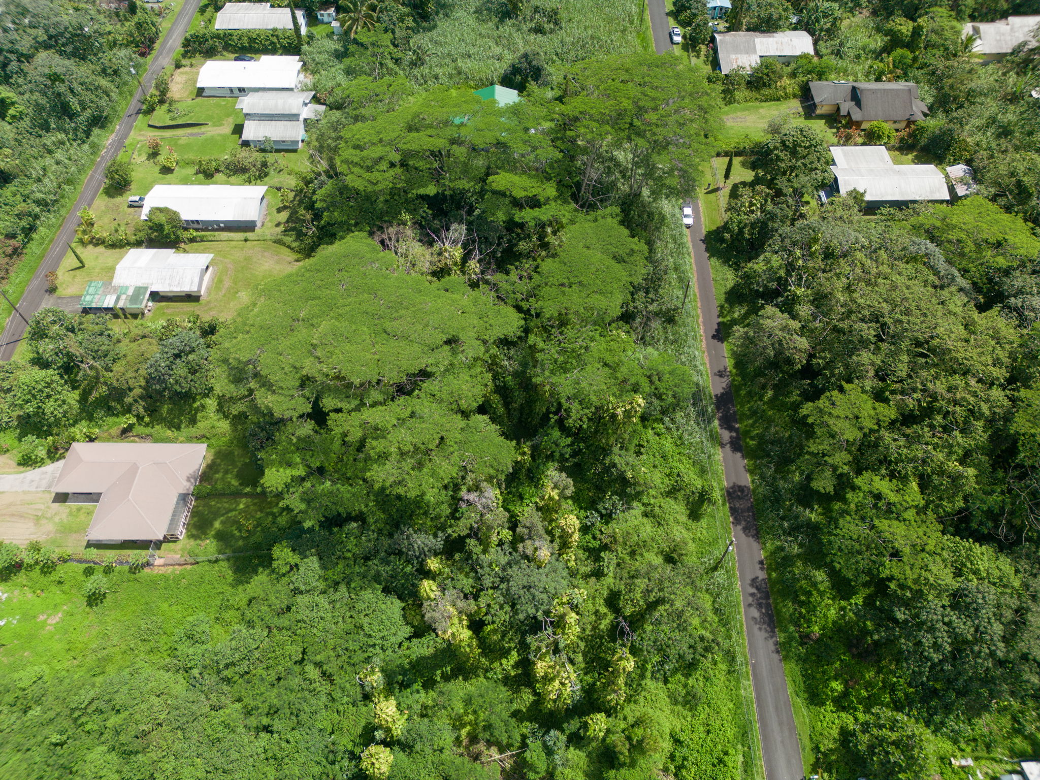 Moi St Property Photo 6
