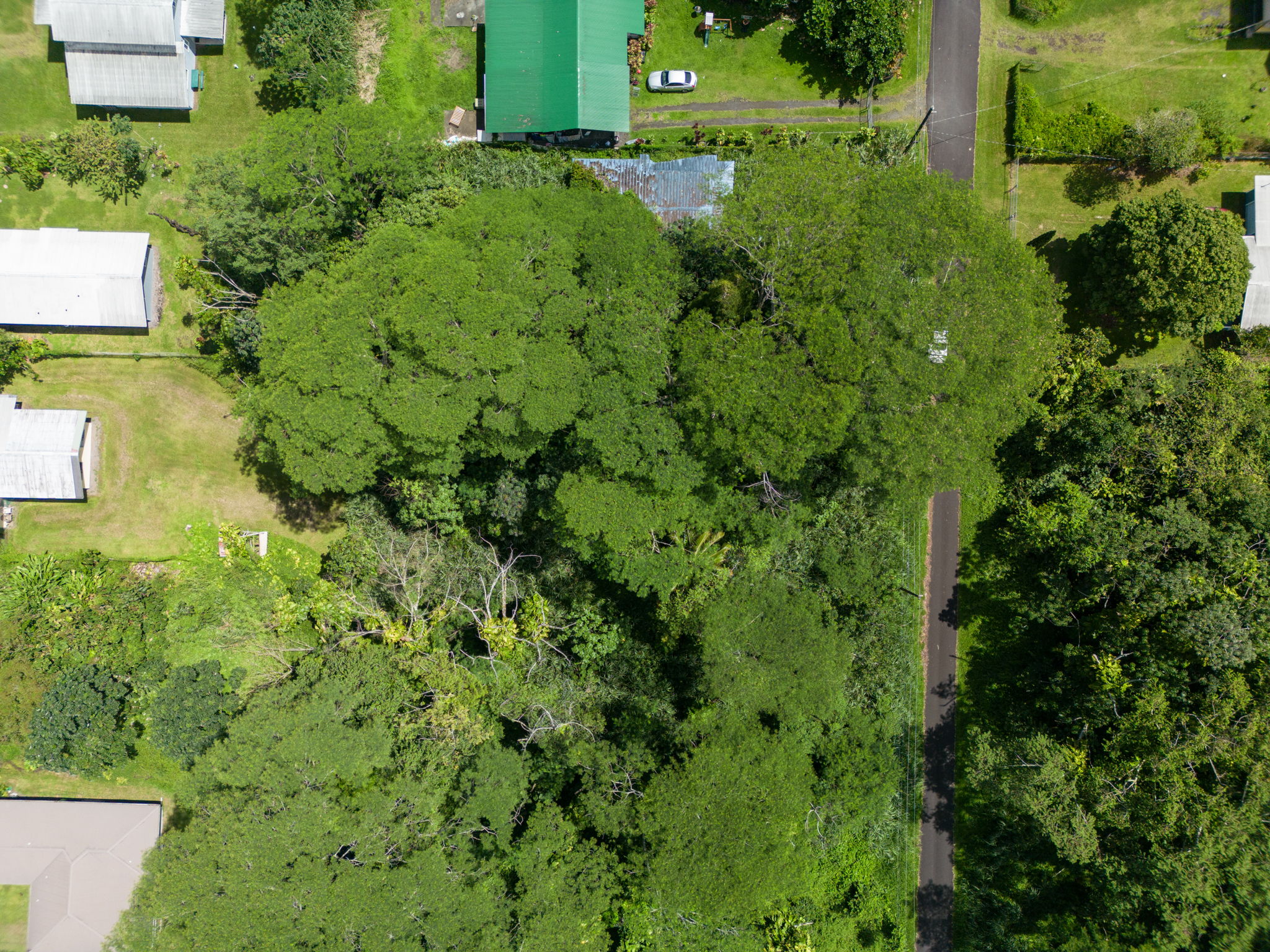Moi St Property Photo 7