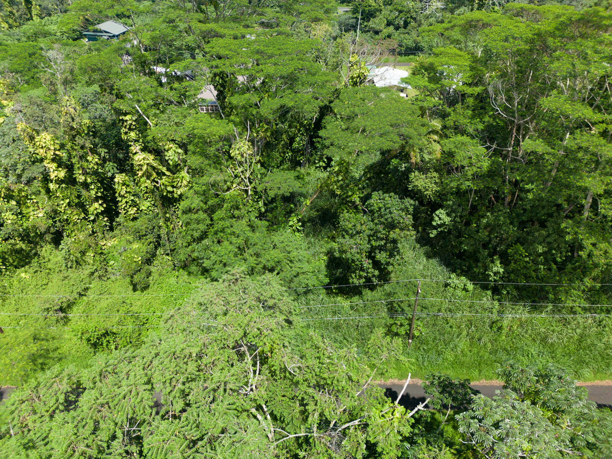 Moi St Property Photo 17