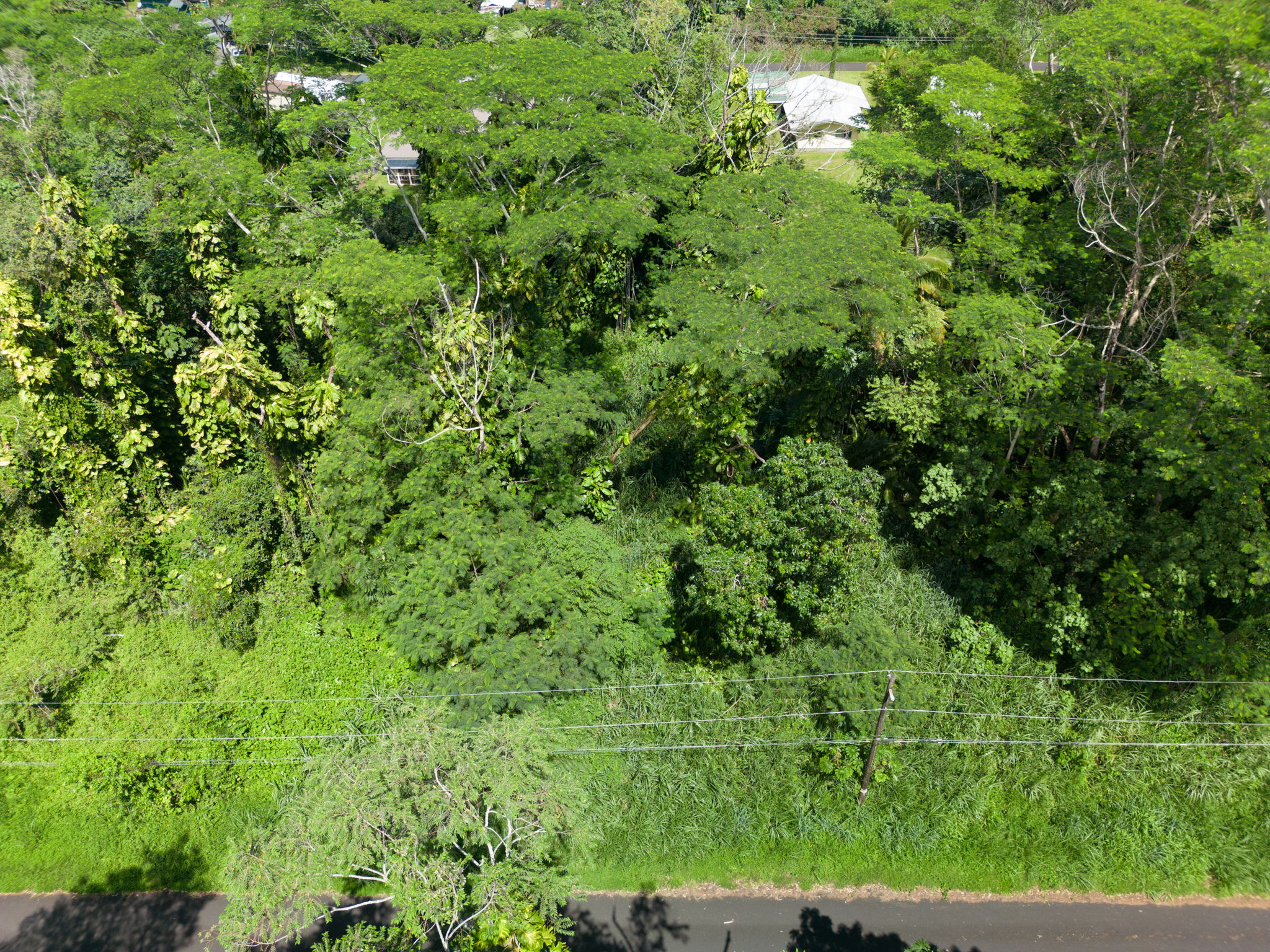 Moi St Property Photo 18