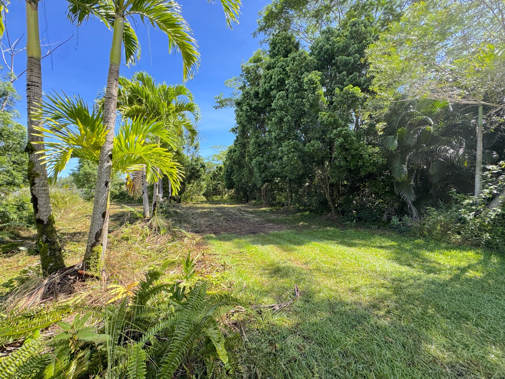 3rd Ave Property Photo 1