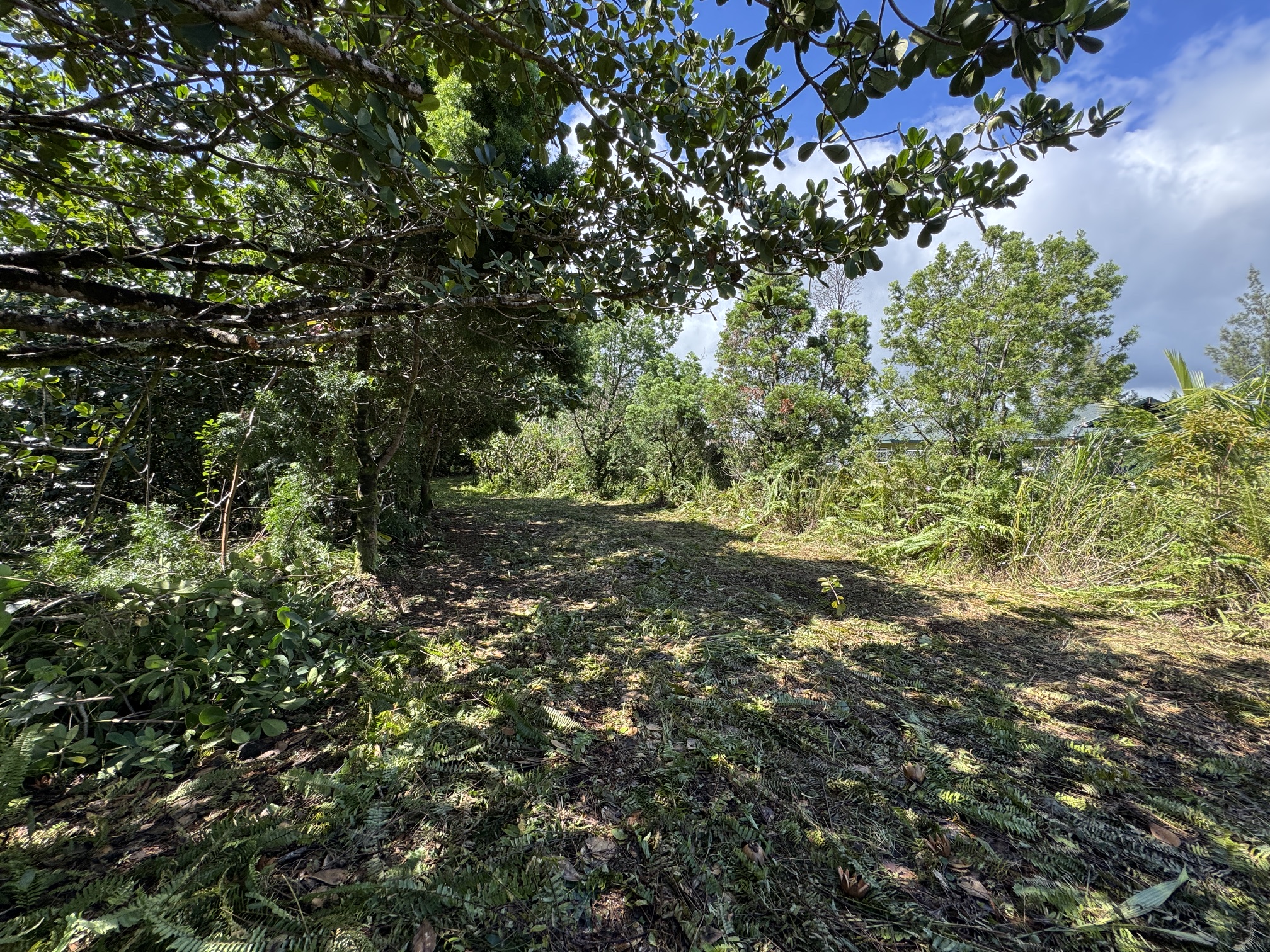 3rd Ave Property Photo 9