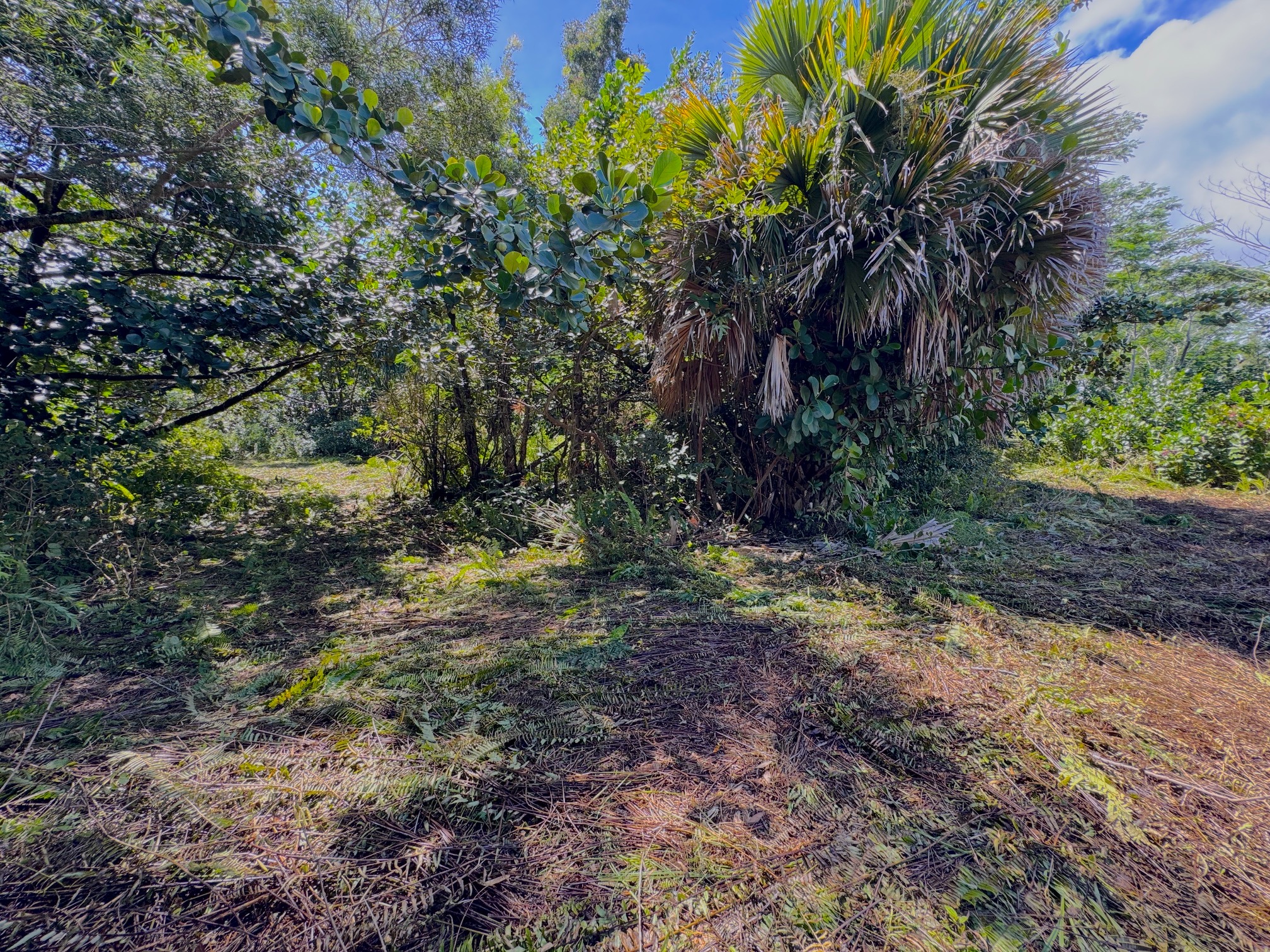 3rd Ave Property Photo 12