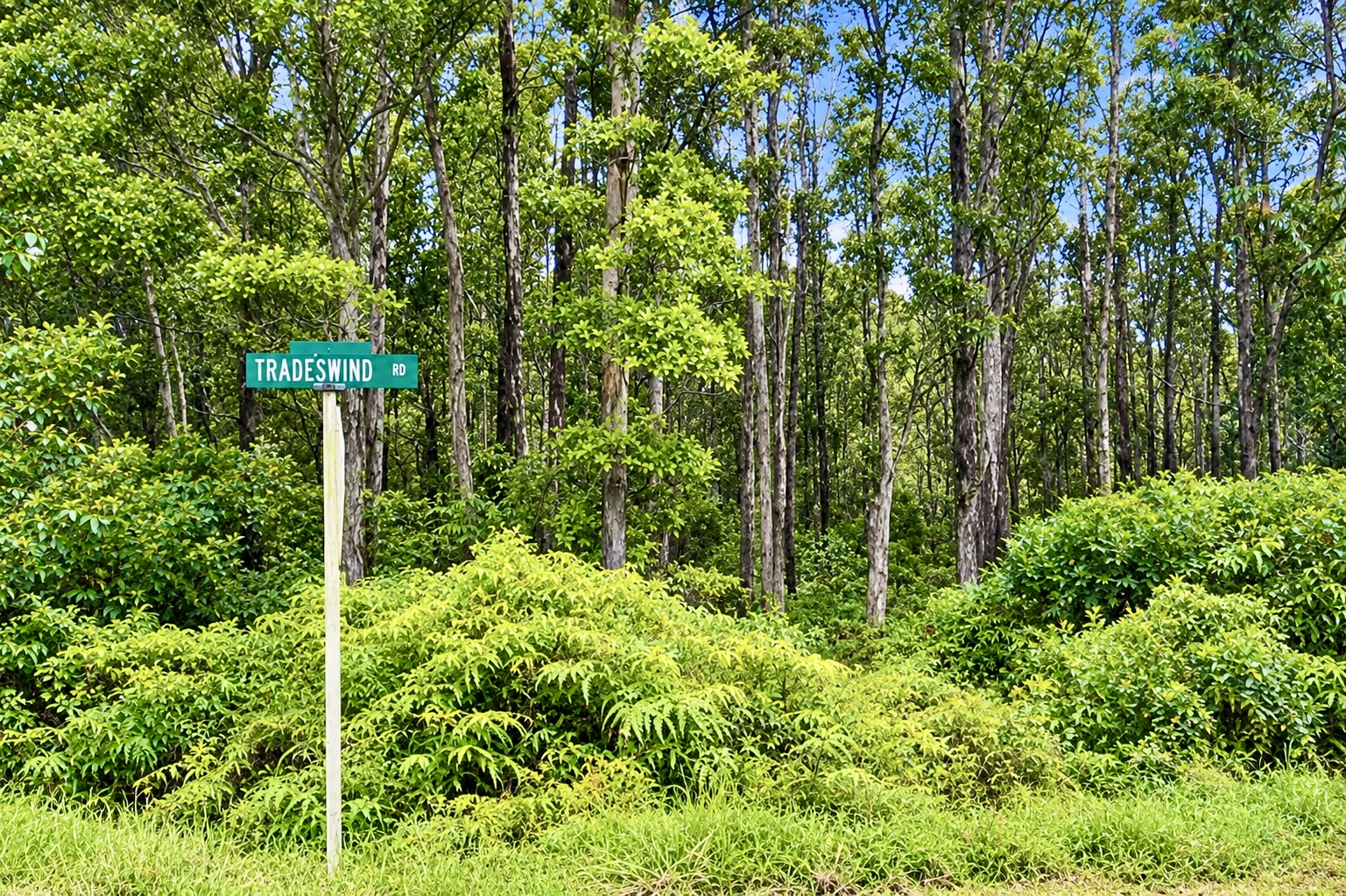 Tradewind Dr Property Photo 1
