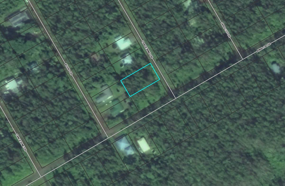 Tradewind Dr Property Photo 4