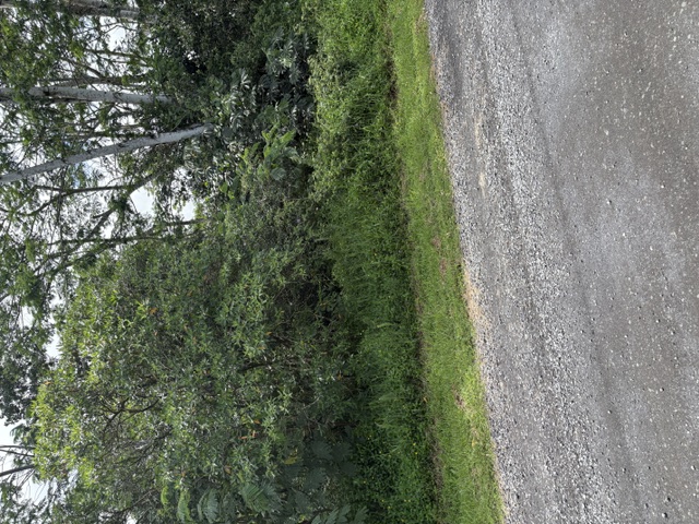 18th Ave Property Photo 1