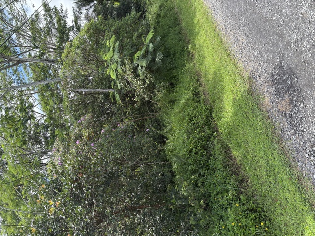 18th Ave Property Photo 2