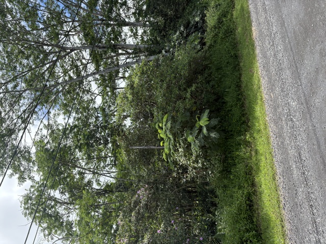 18th Ave Property Photo 3