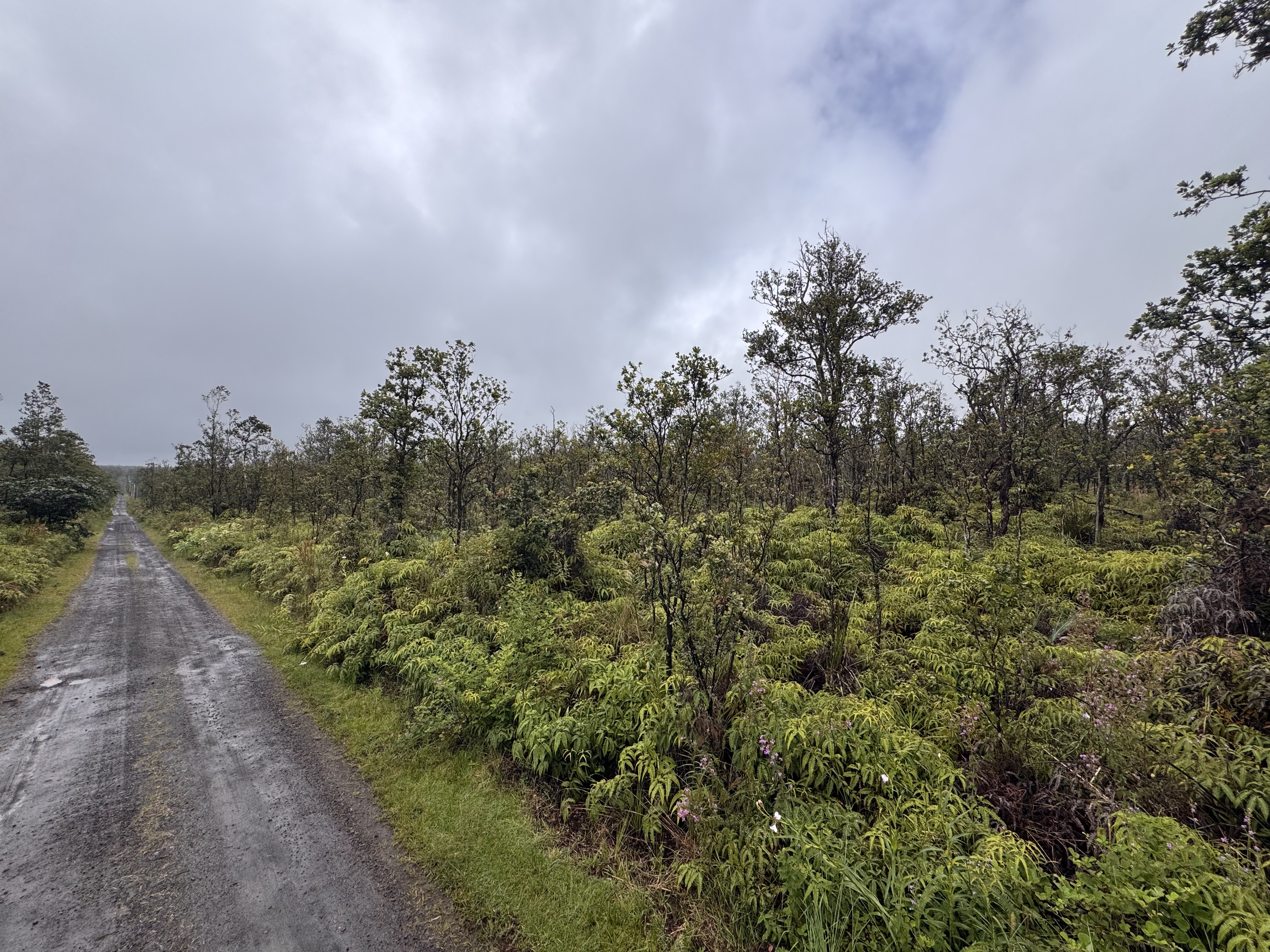 Noe Kuahiwi Rd Property Photo 1