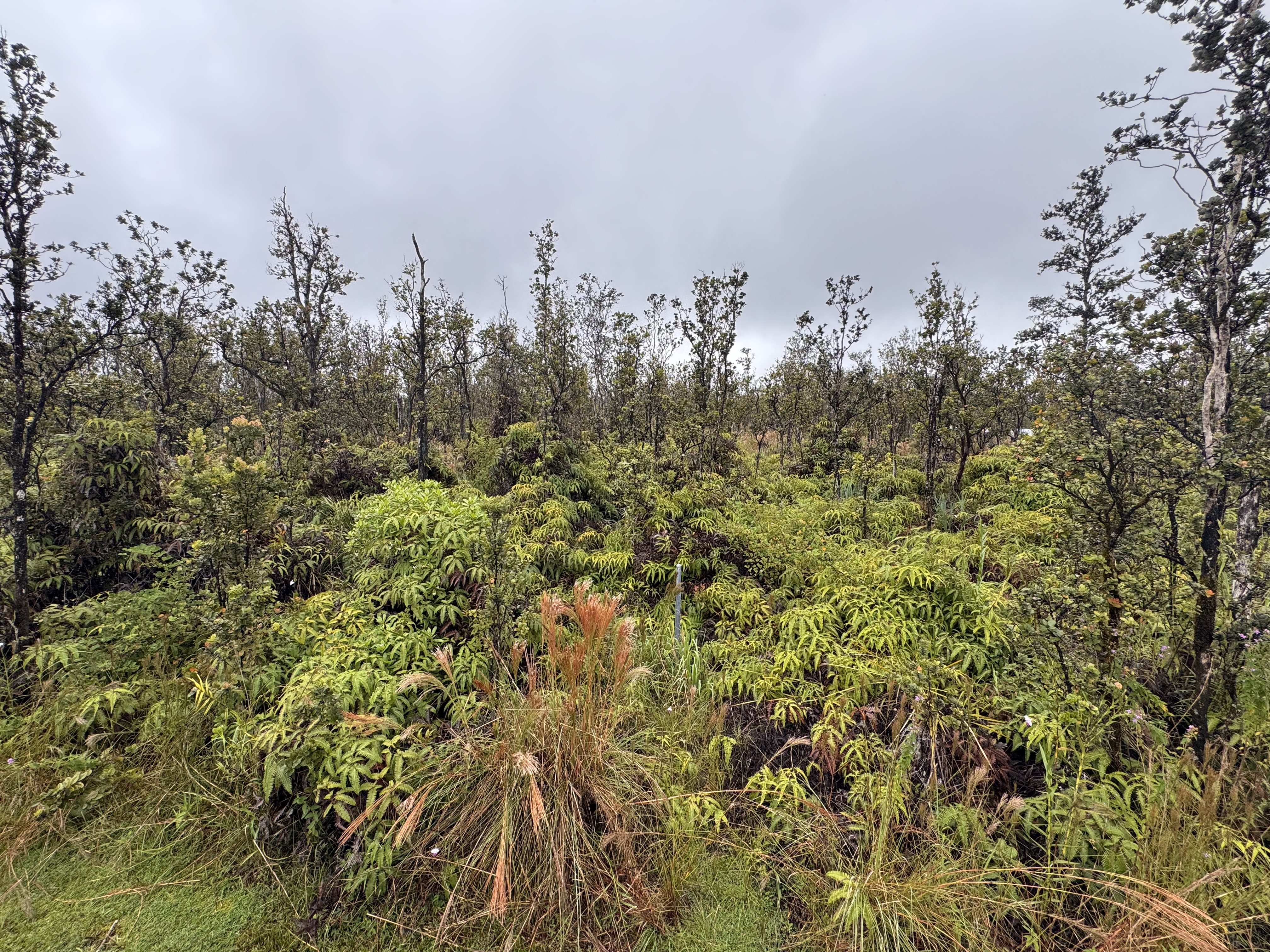 Noe Kuahiwi Rd Property Photo 3