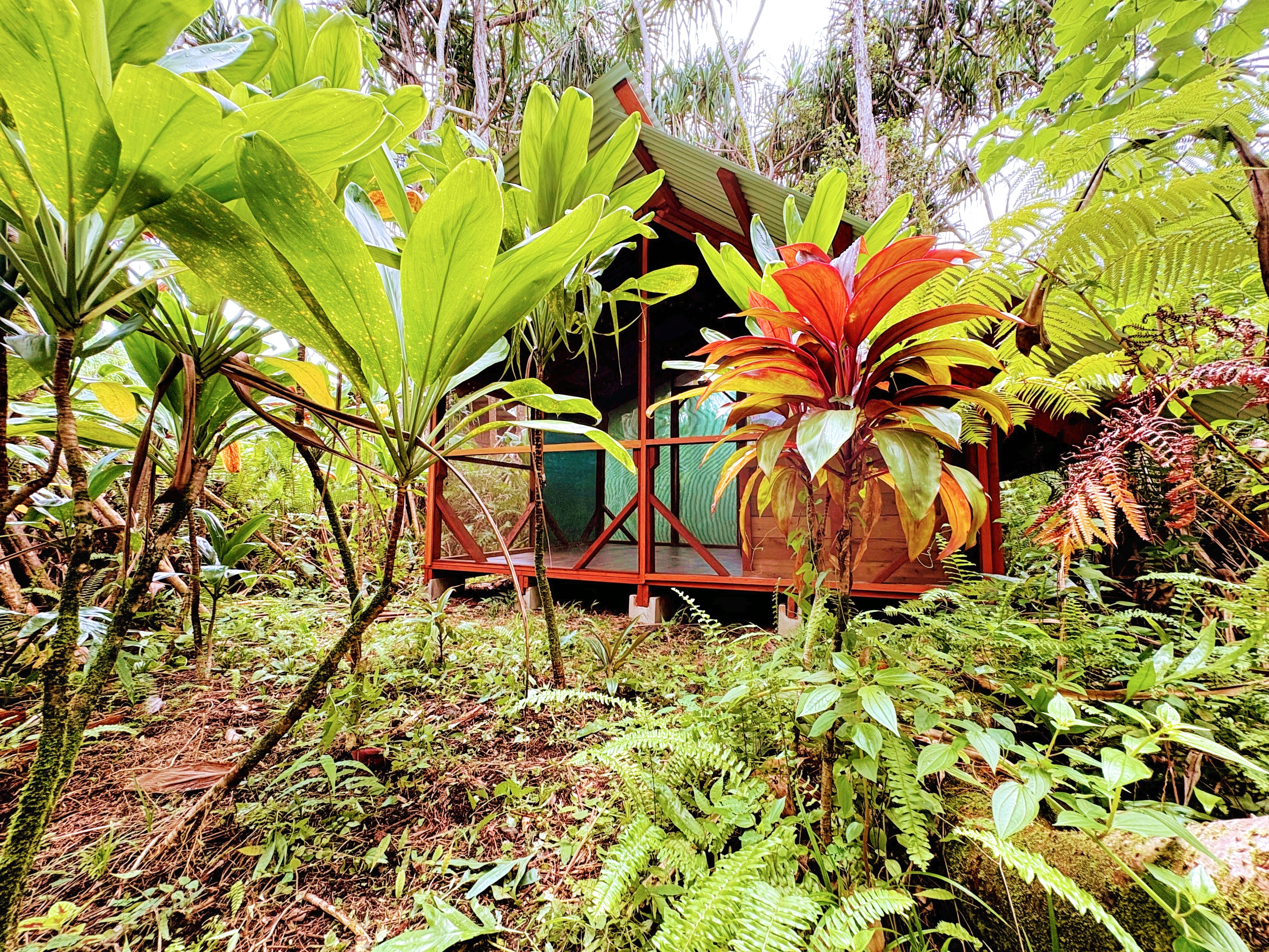 12-306 Pohakupele Loop Property Photo 13