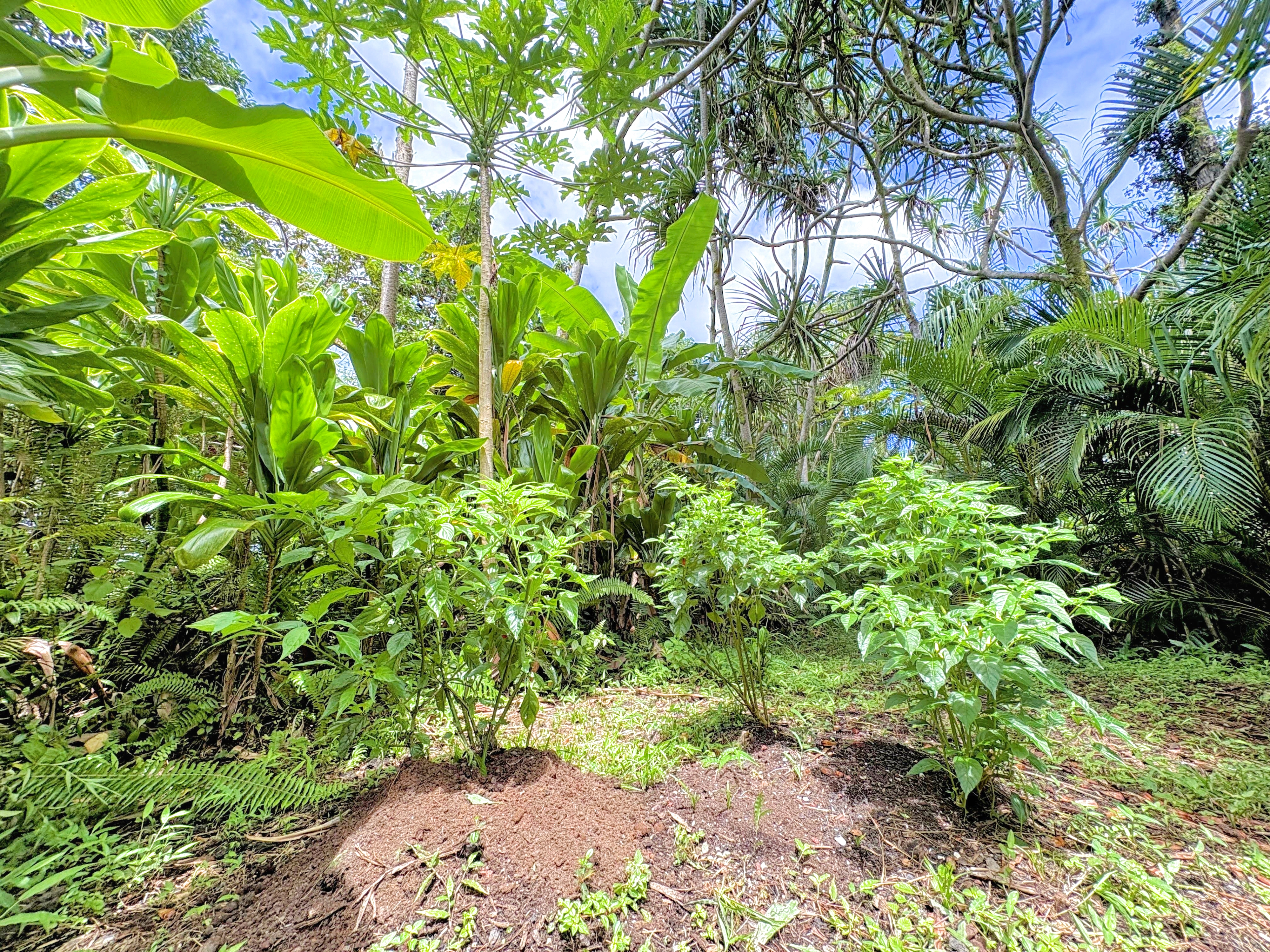 12-306 Pohakupele Loop Property Photo 15
