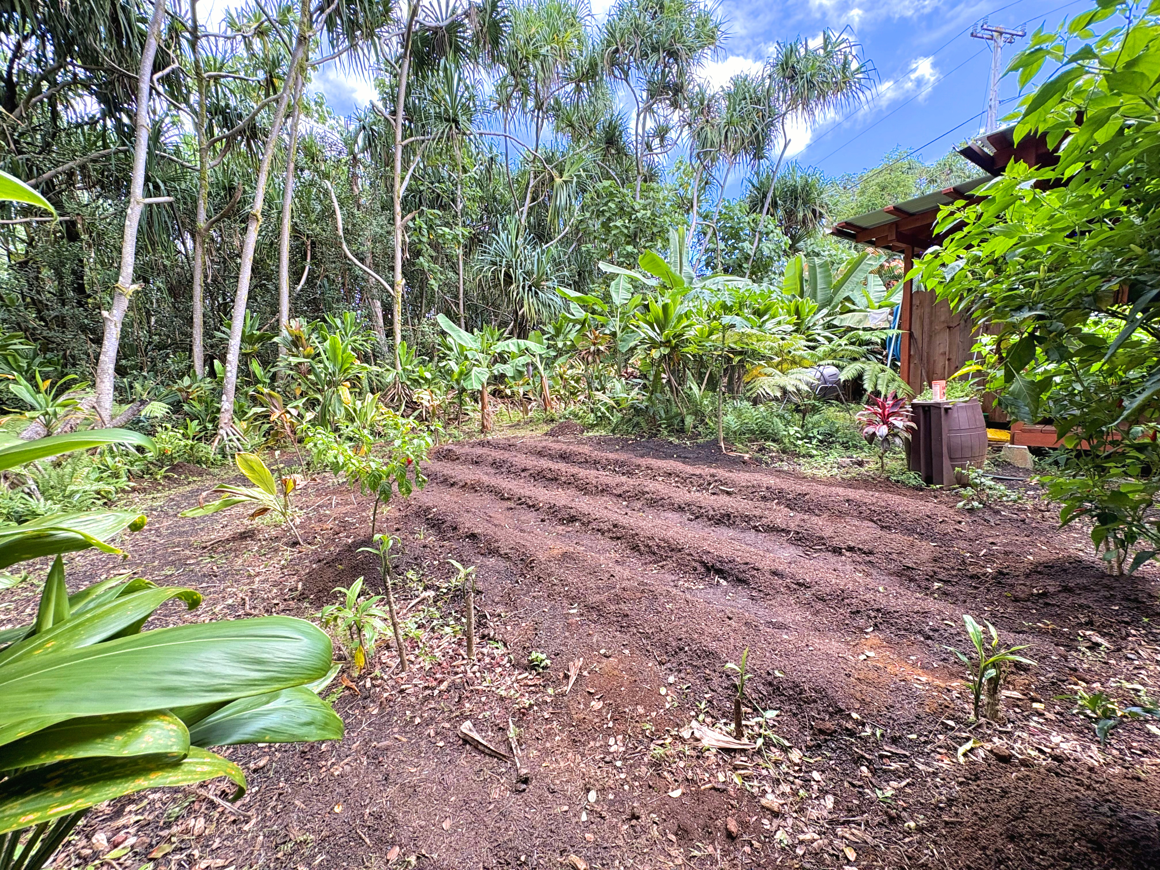 12-306 Pohakupele Loop Property Photo 17