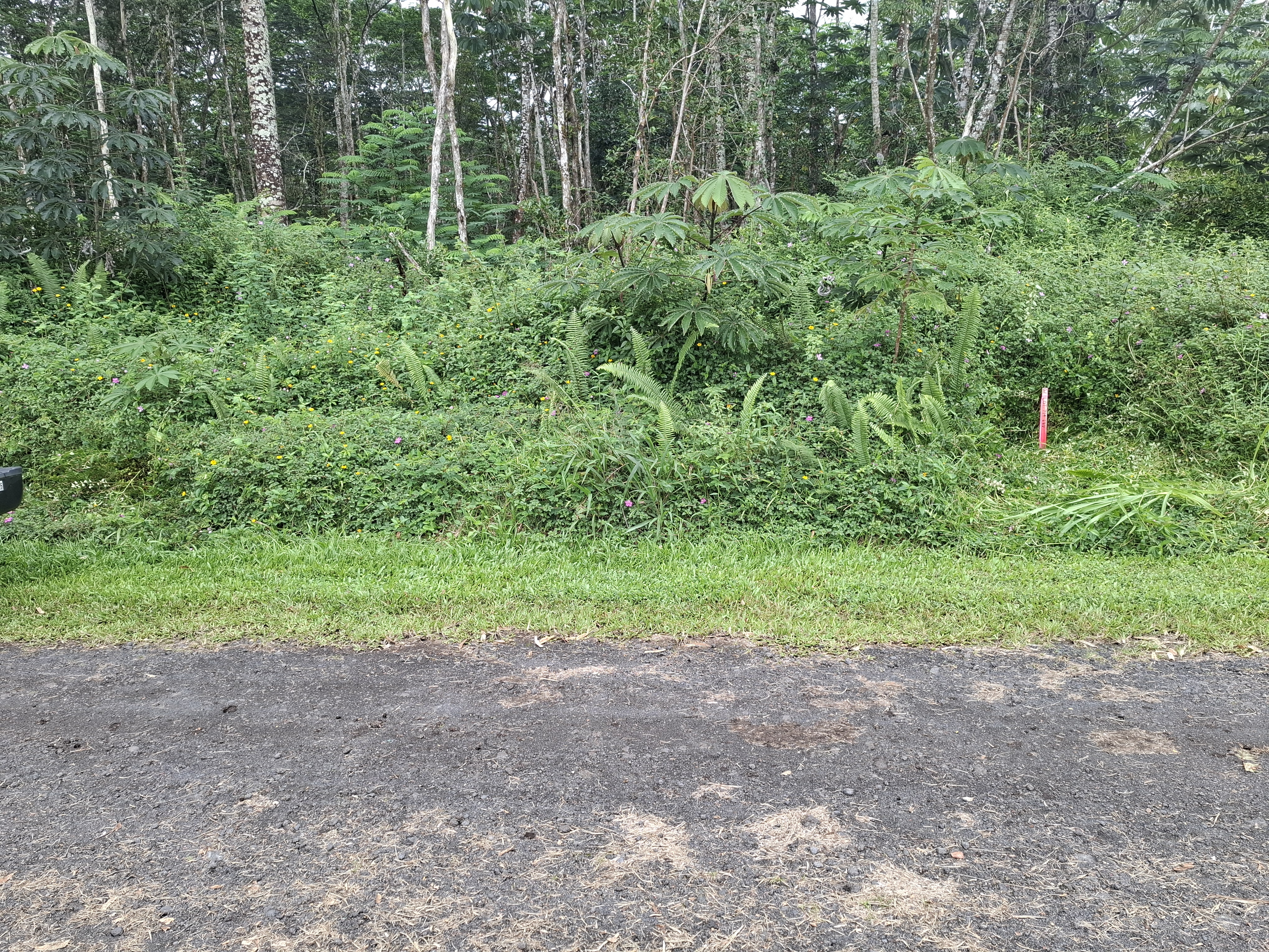 14-3458 HILO RD Property Photo 1