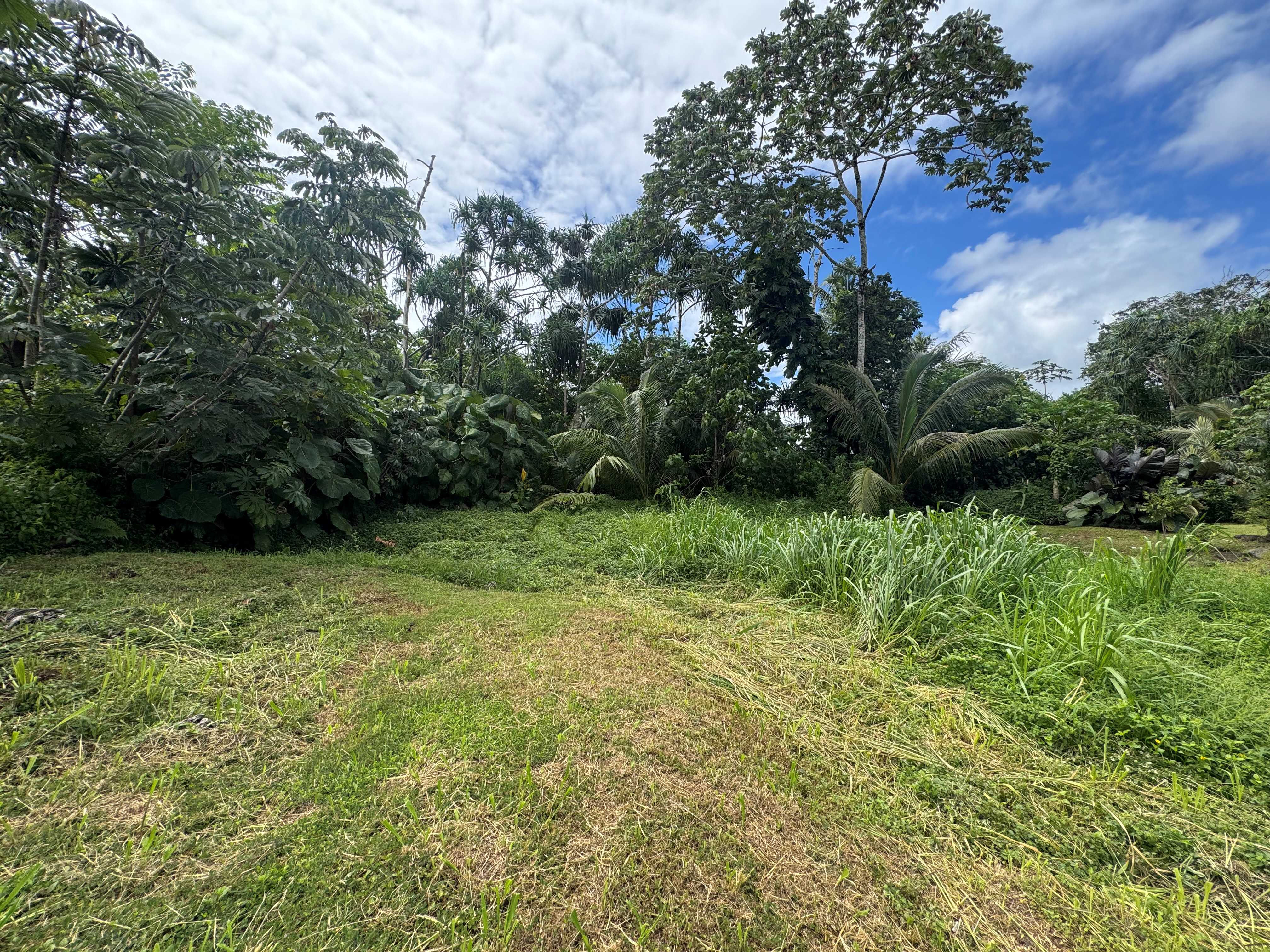 S Opae St Property Photo 18