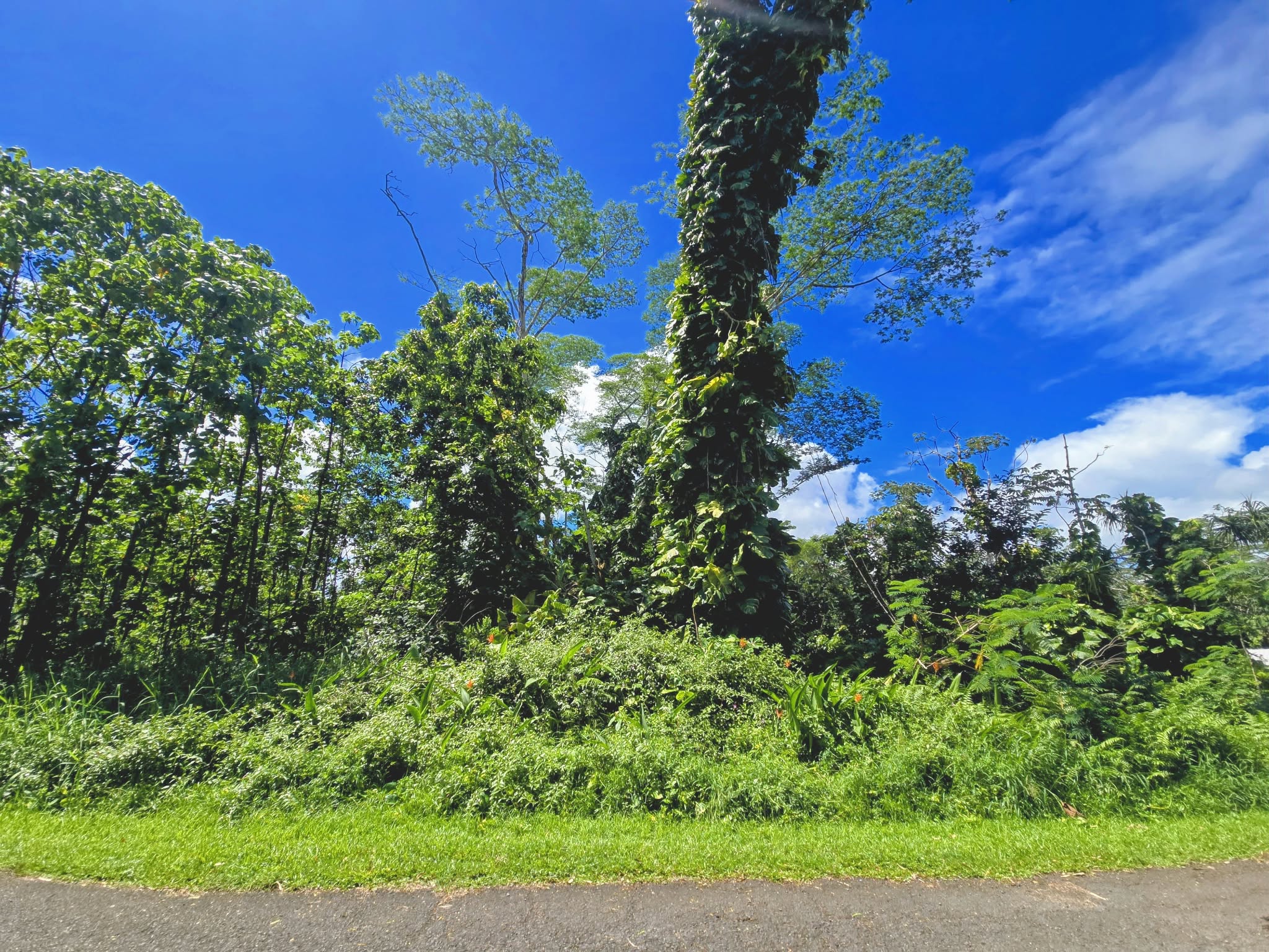 Ohiki St Property Photo 2
