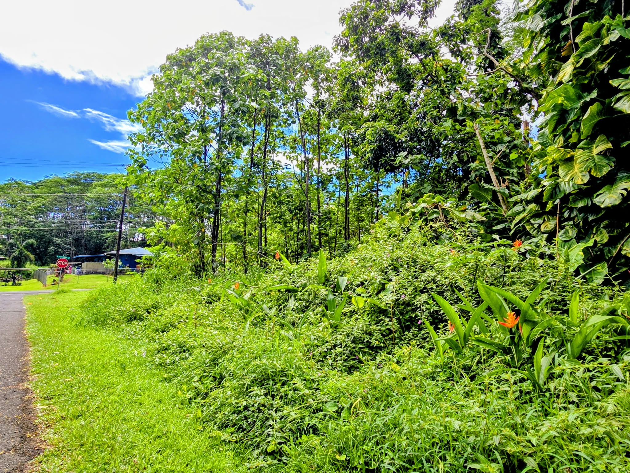 Ohiki St Property Photo 12