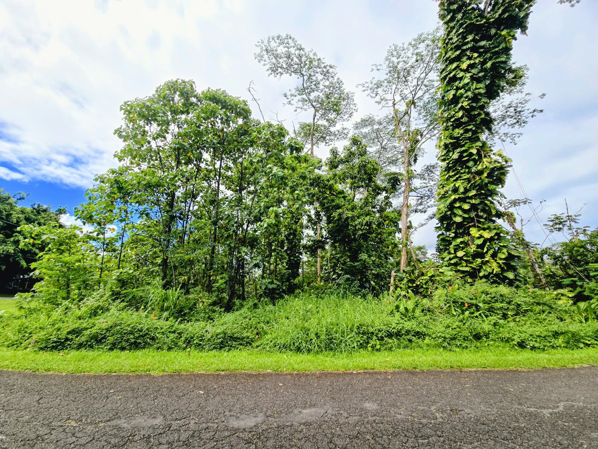 Ohiki St Property Photo 15