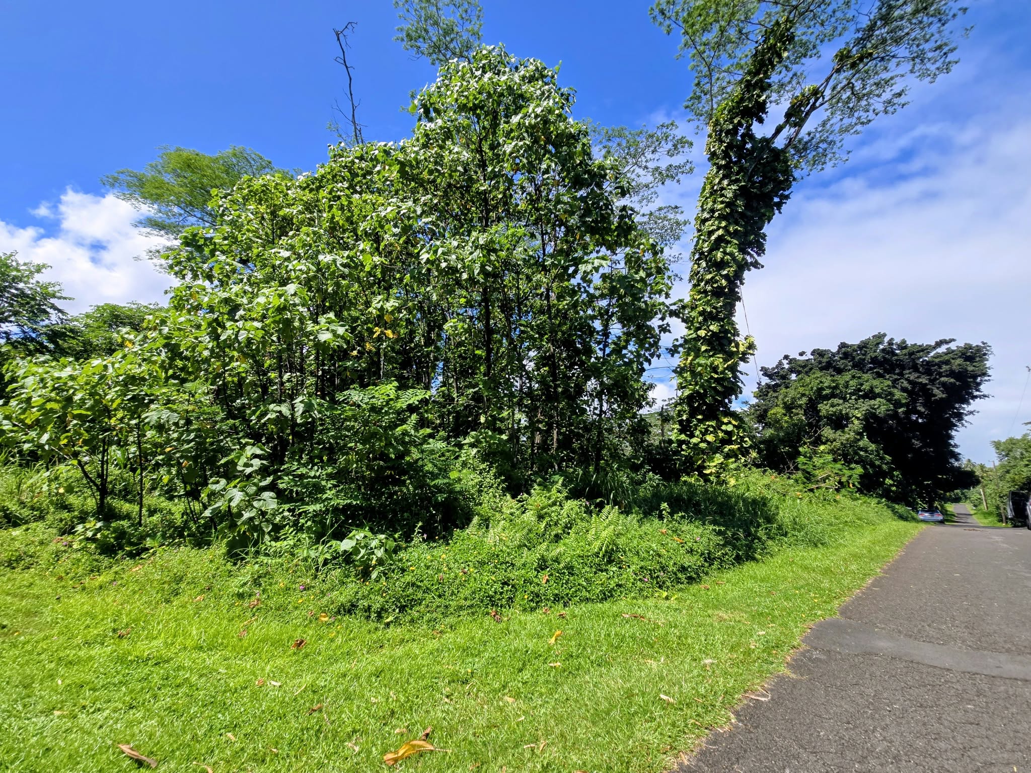 Ohiki St Property Photo 18