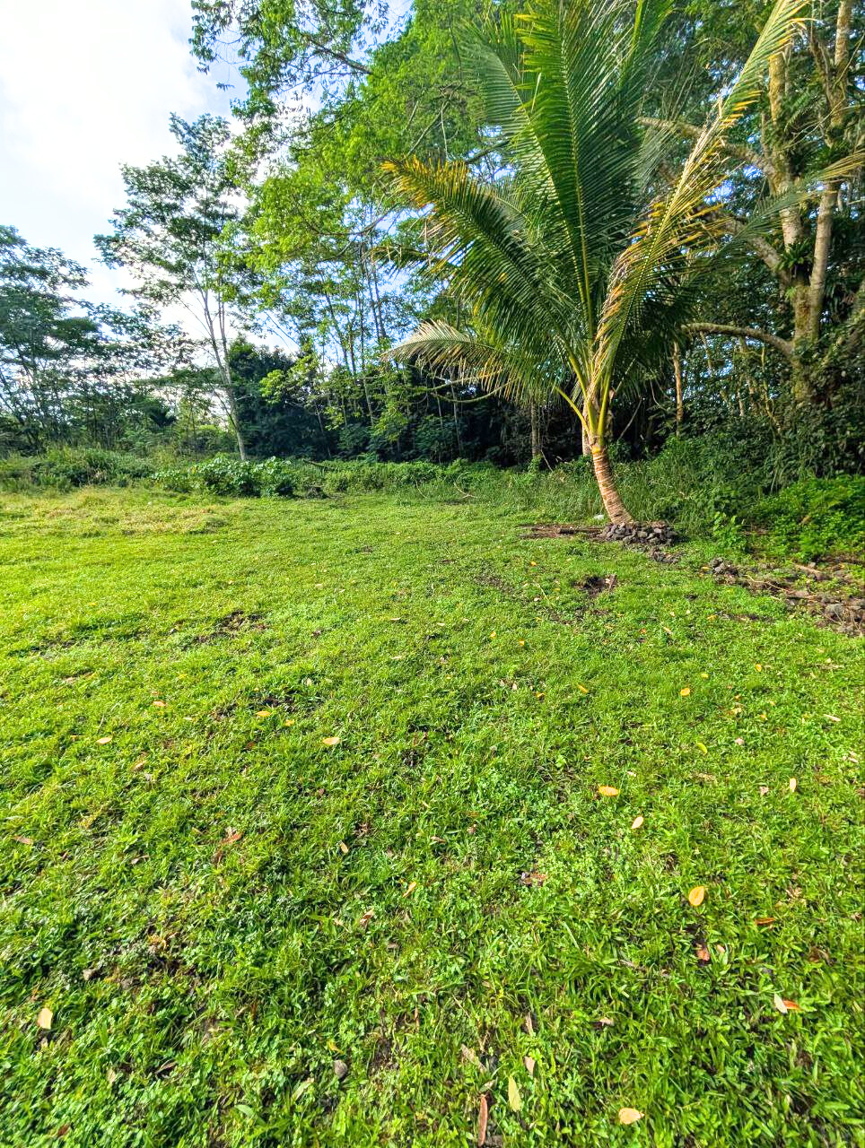 14-3276 Pualaa Rd Property Photo 15