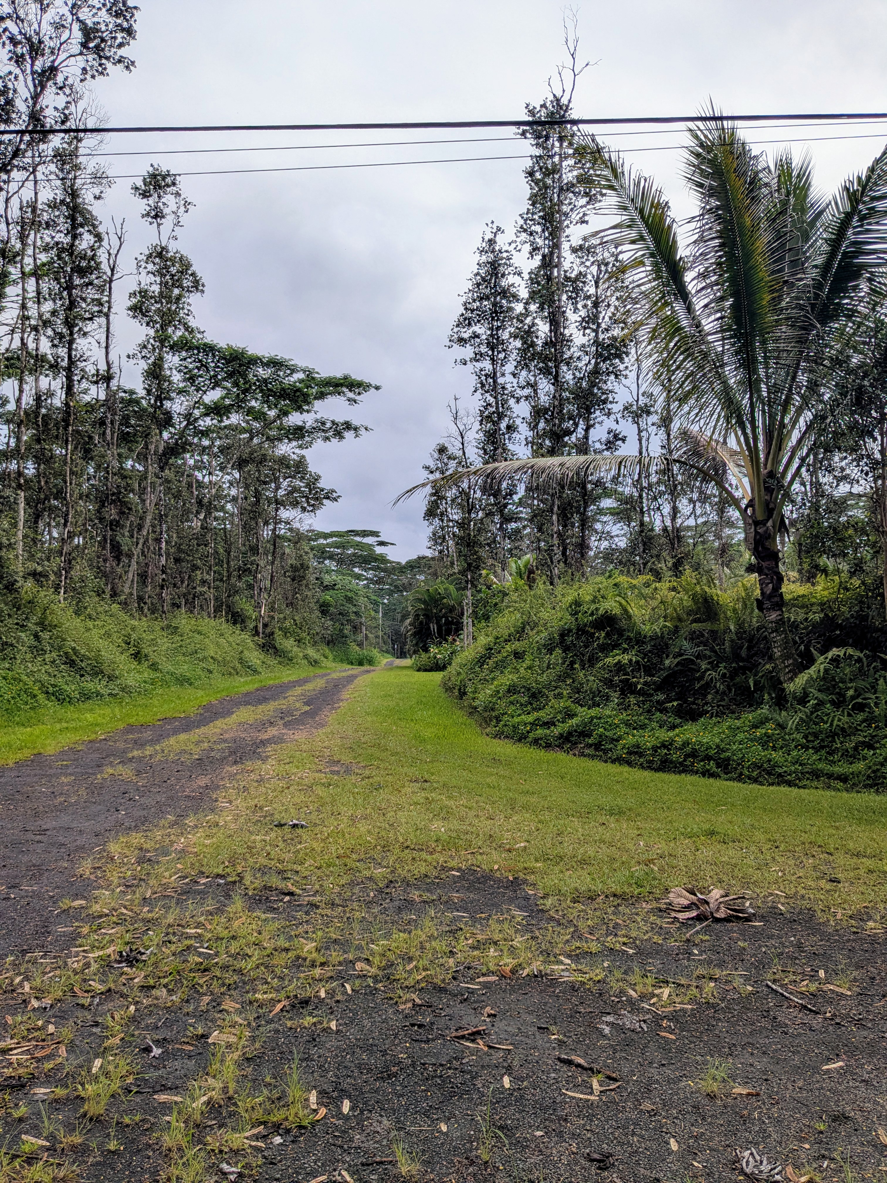 Puna Rd Property Photo 1