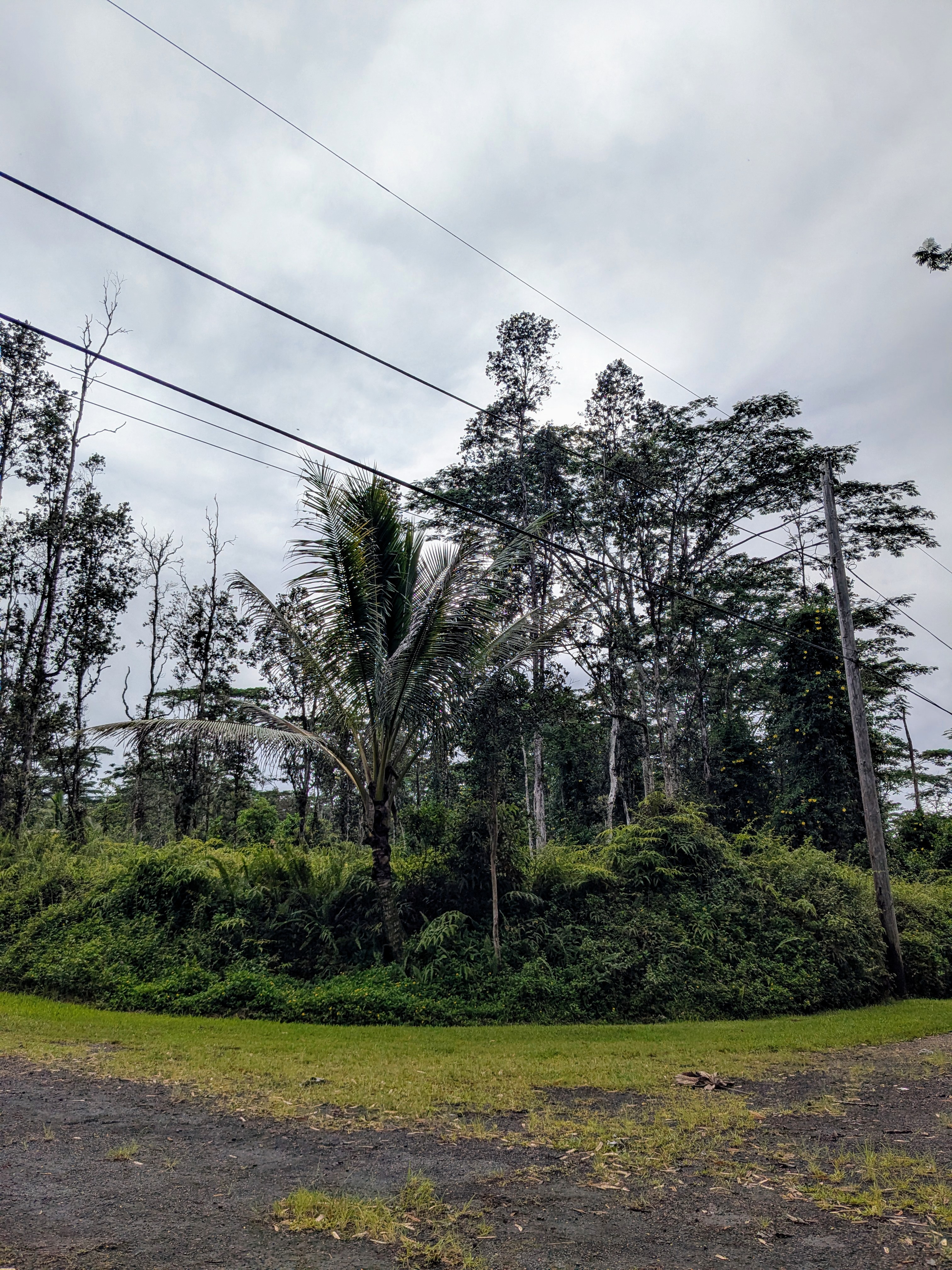 Puna Rd Property Photo 4